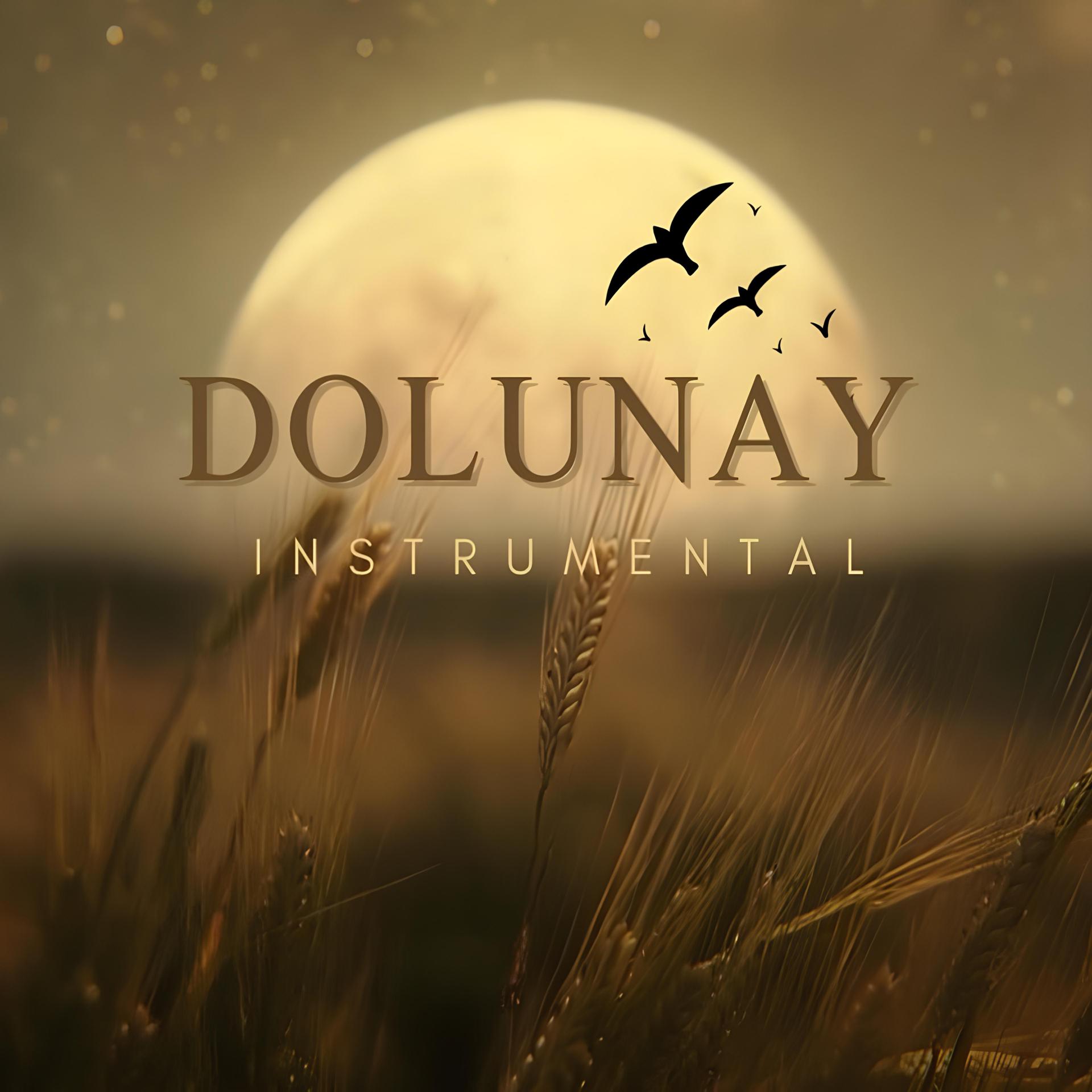 Постер альбома Dolunay