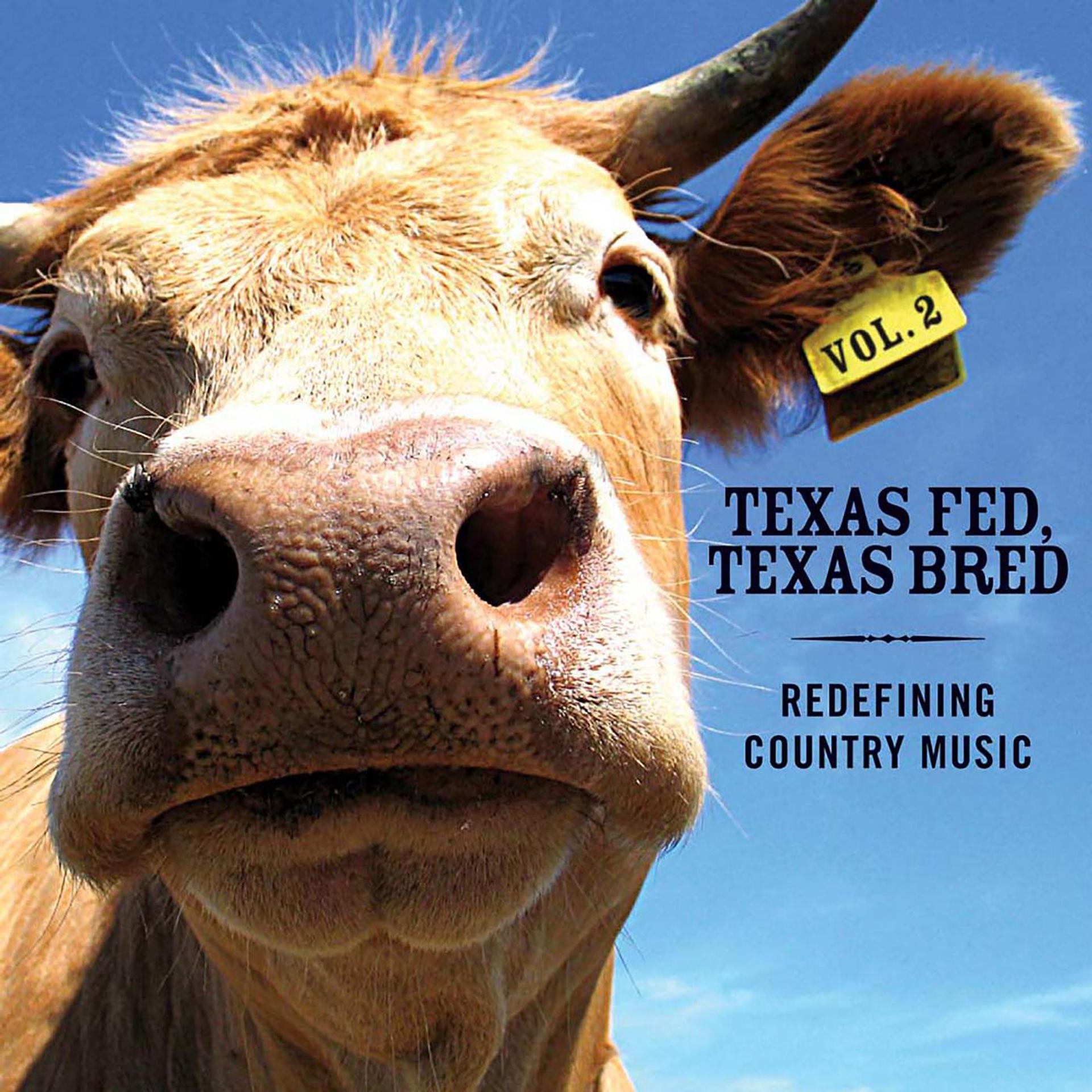 Постер альбома Texas Fed, Texas Bred II