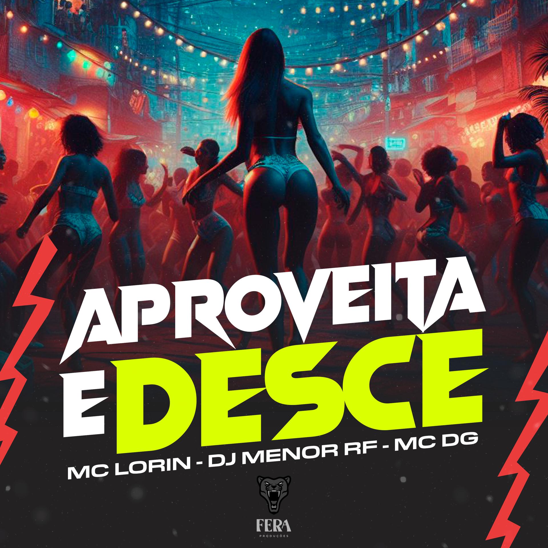 Постер альбома Aproveita e Desce