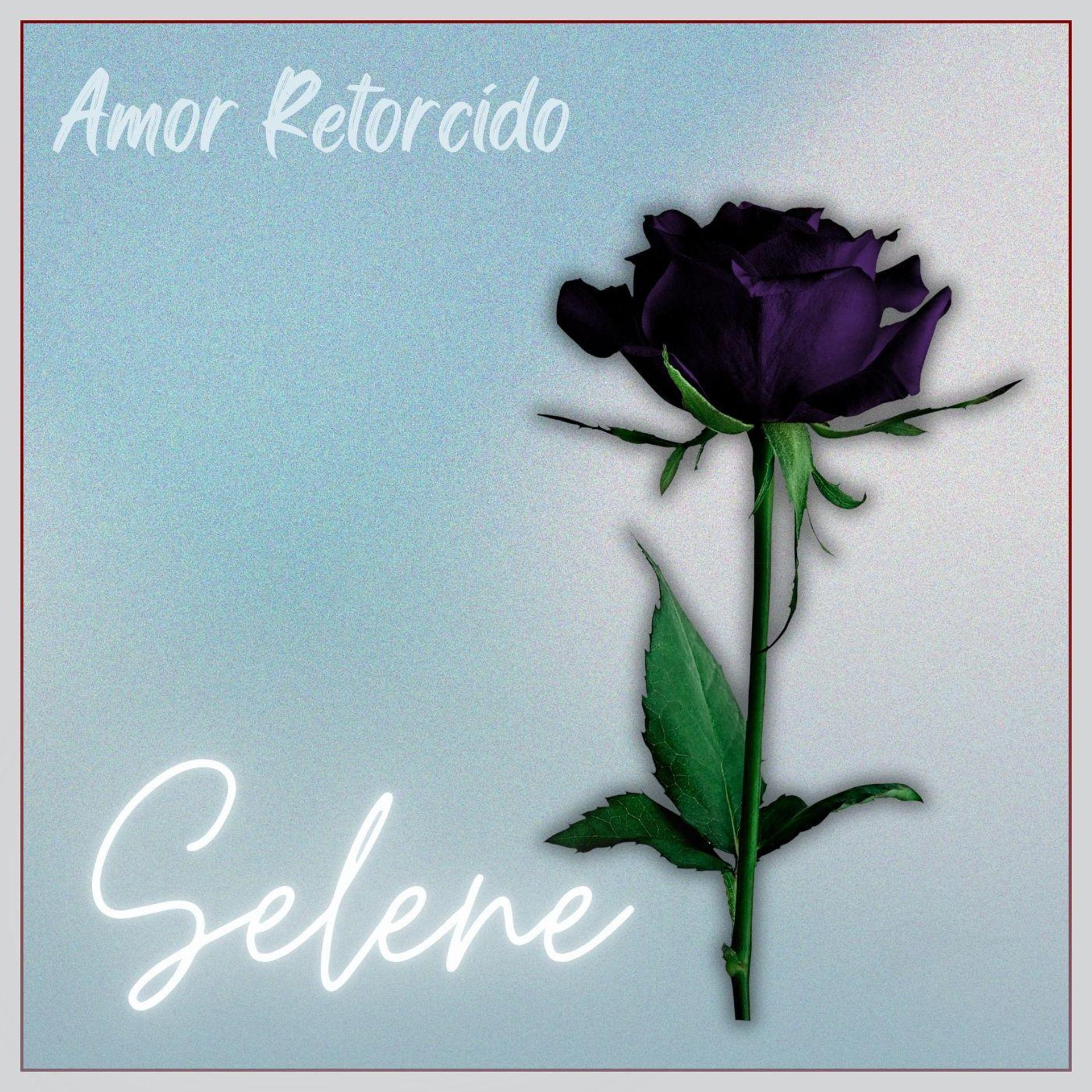 Постер альбома Amor Retorcido