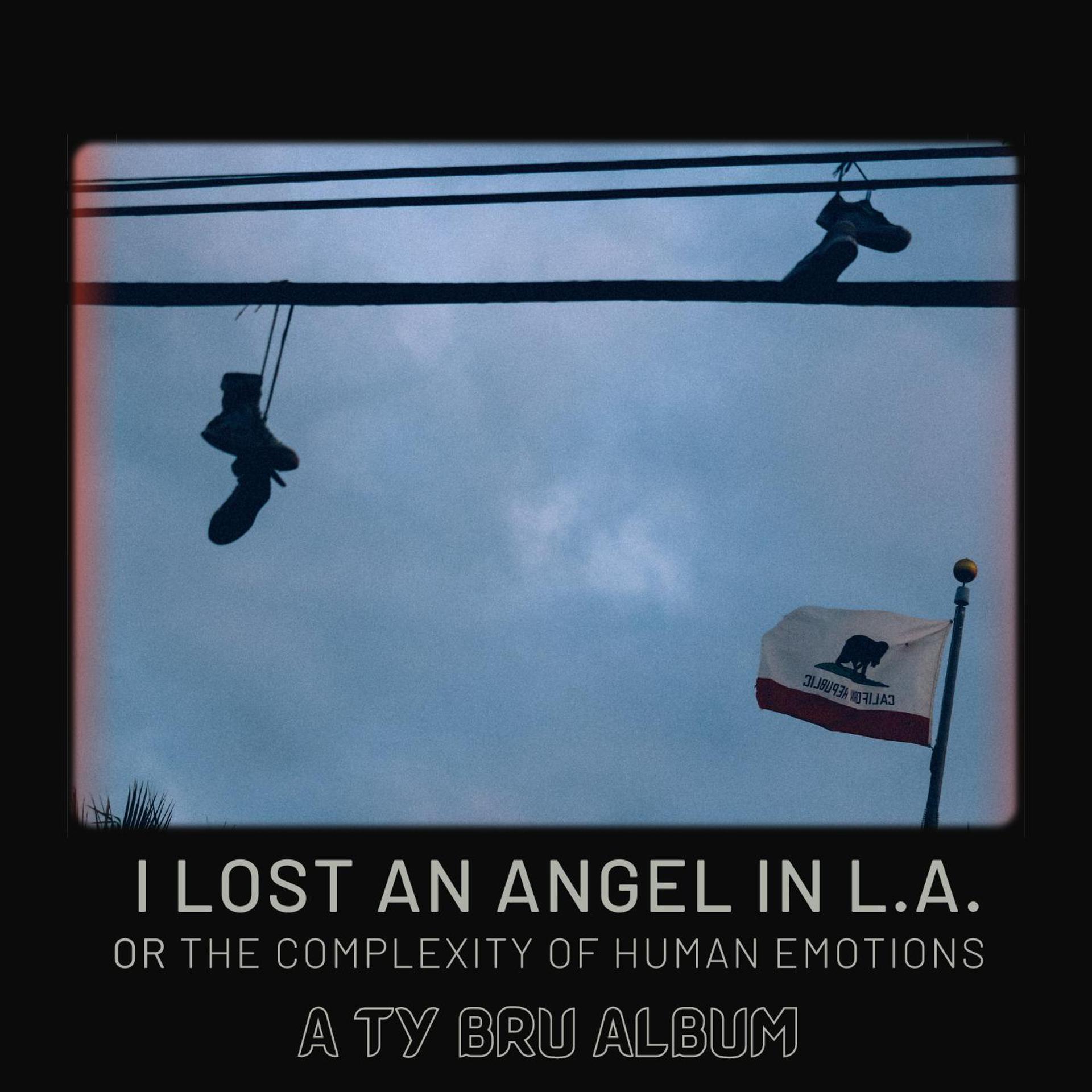 Постер альбома I Lost An Angel In L.A. or The Complexity Of Human Emotions