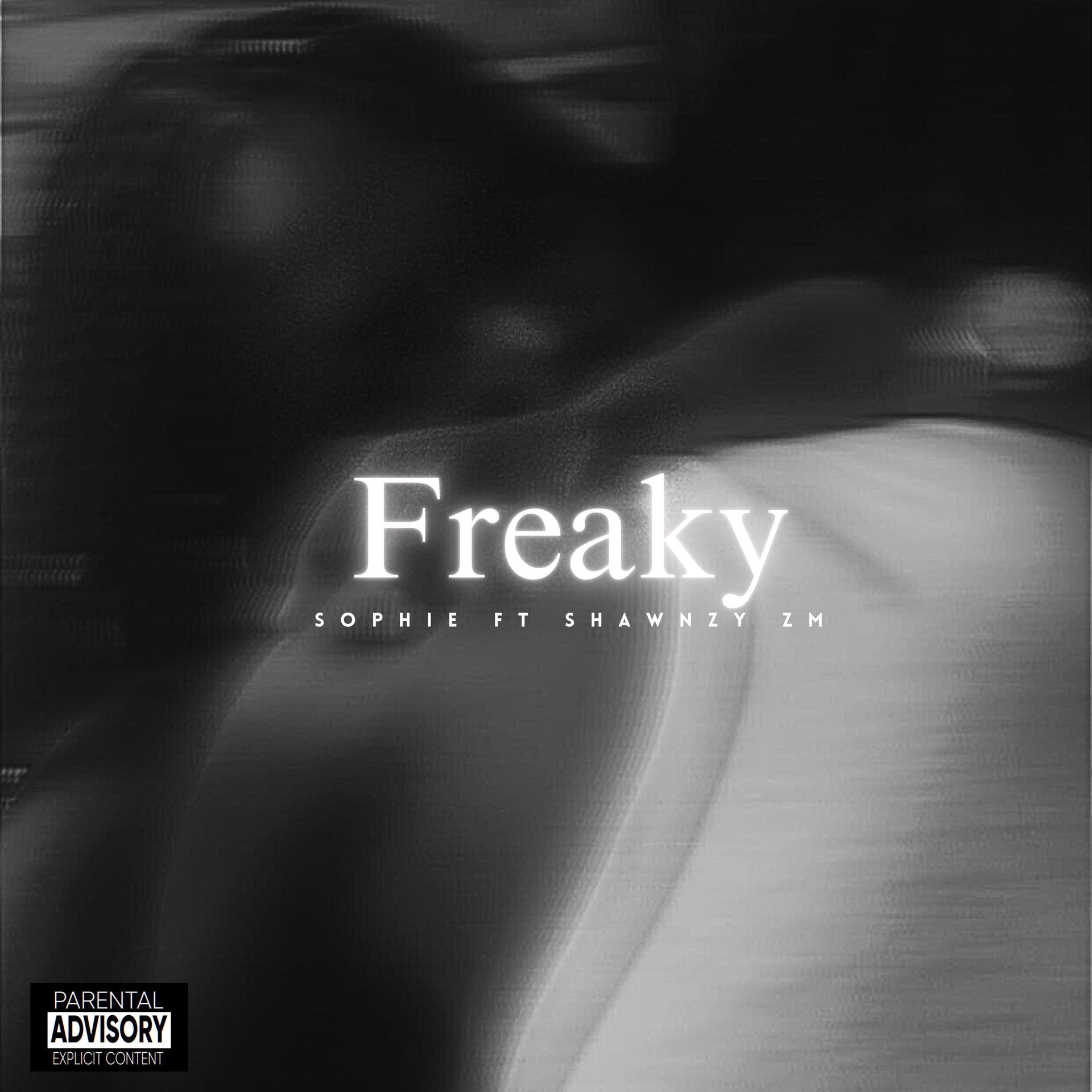 Постер альбома FREAKY (feat. Sophie)