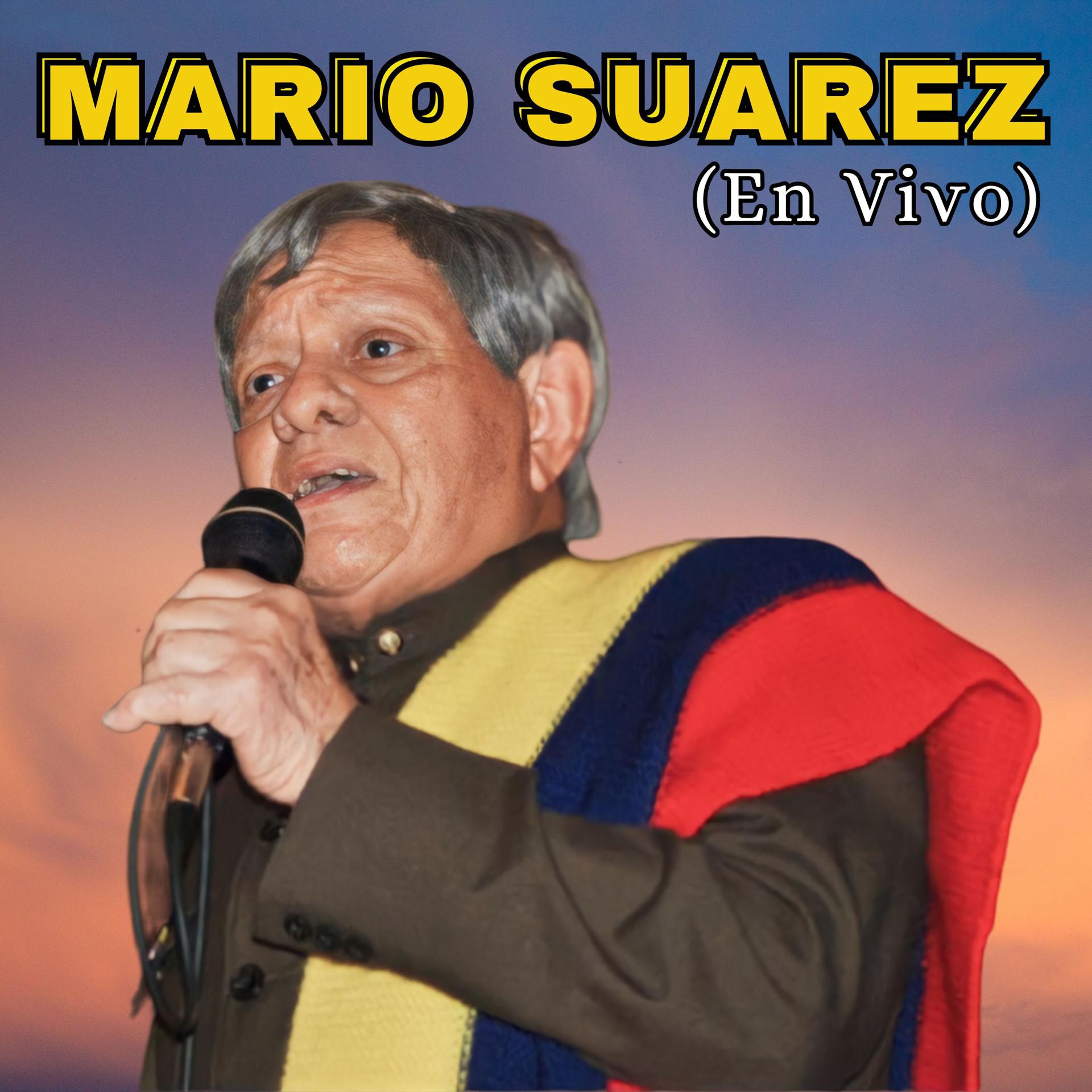 Постер альбома Mario Suárez