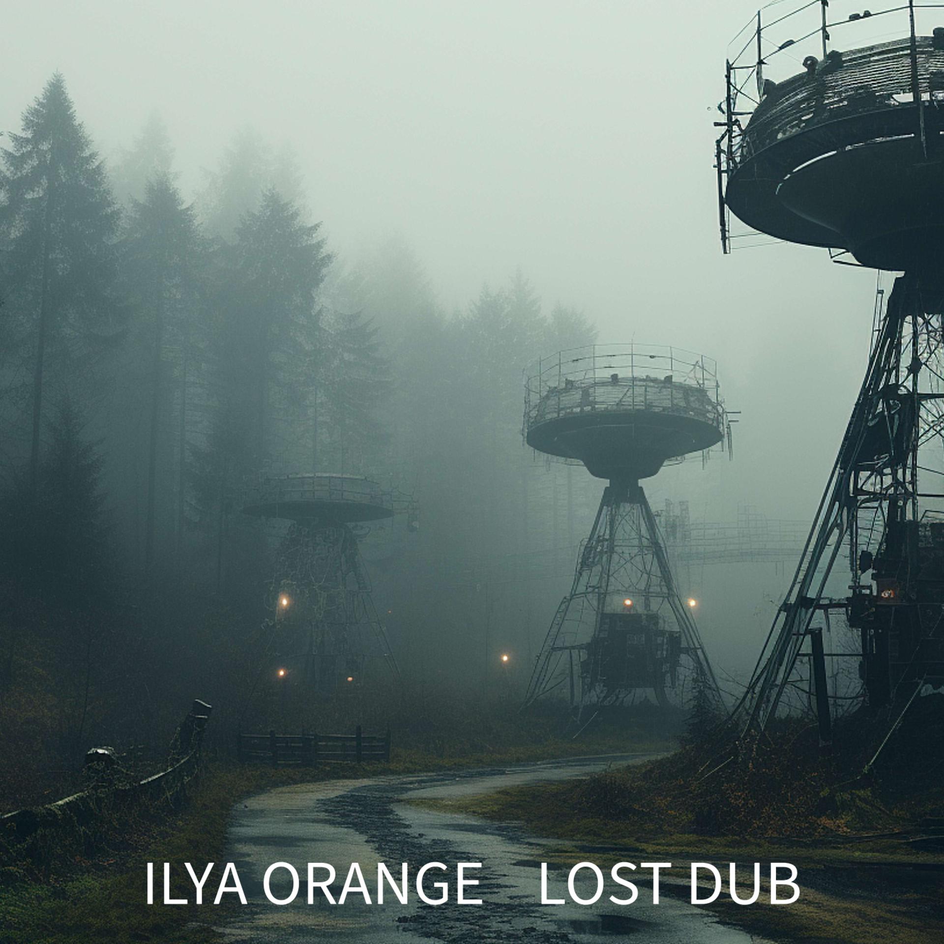 Постер альбома Lost Dub