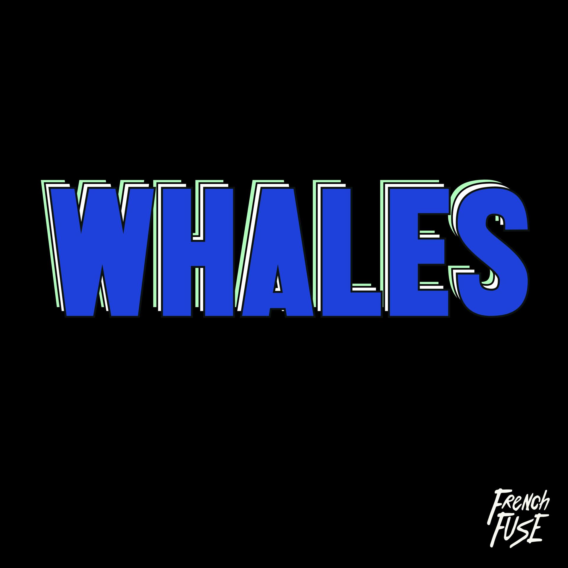 Постер альбома Whales