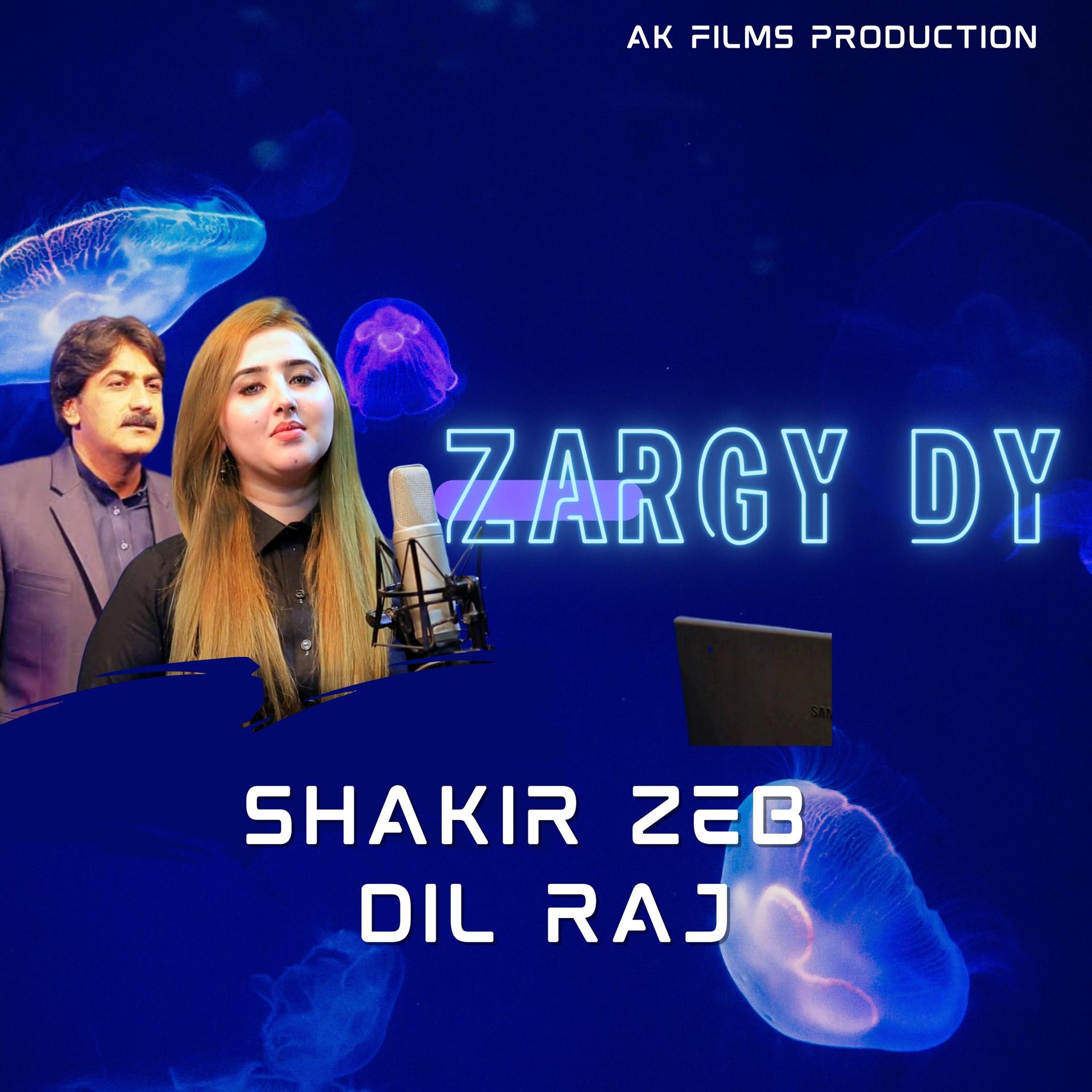 Постер альбома Zargy Dy