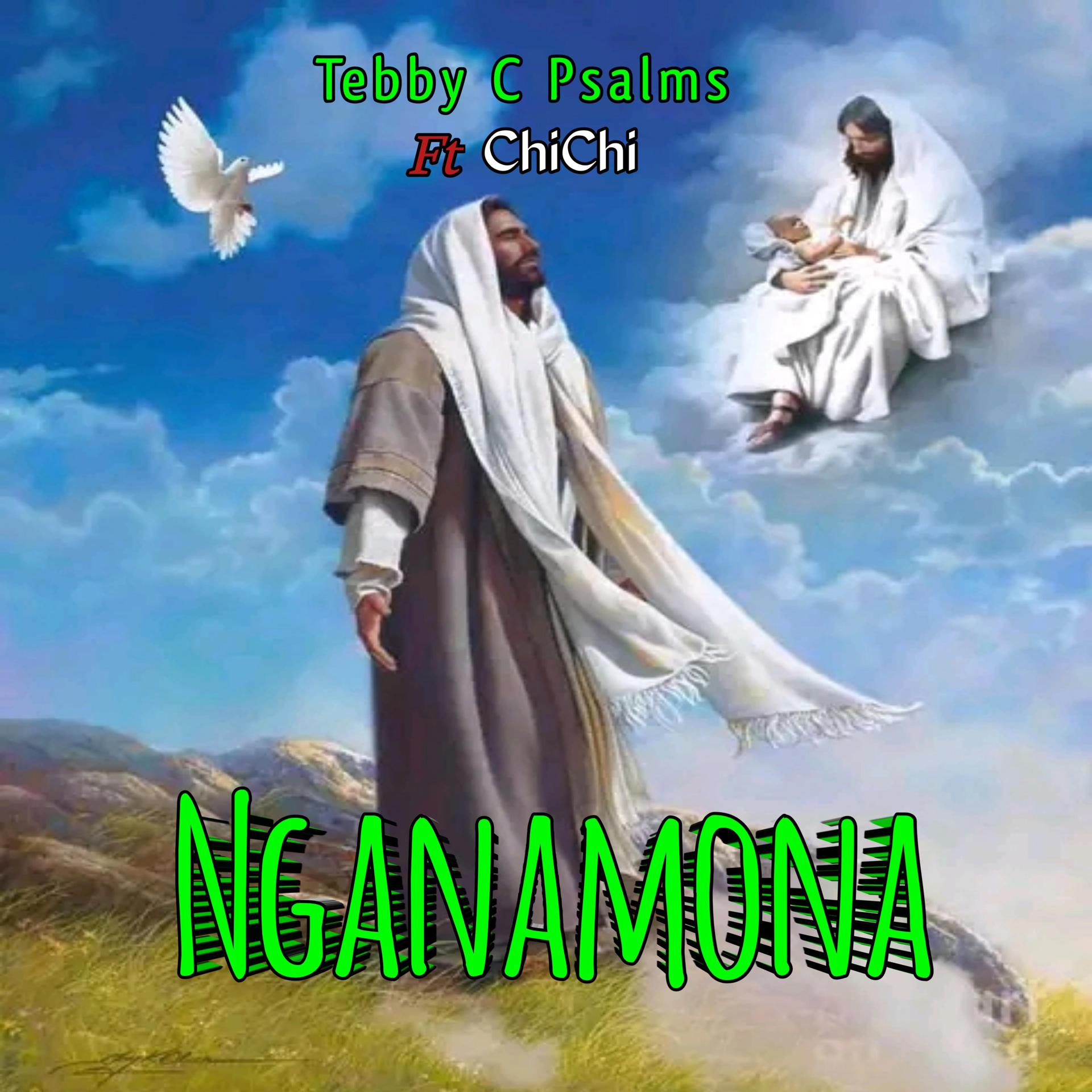 Постер альбома Nganamona (feat. ChiChi)