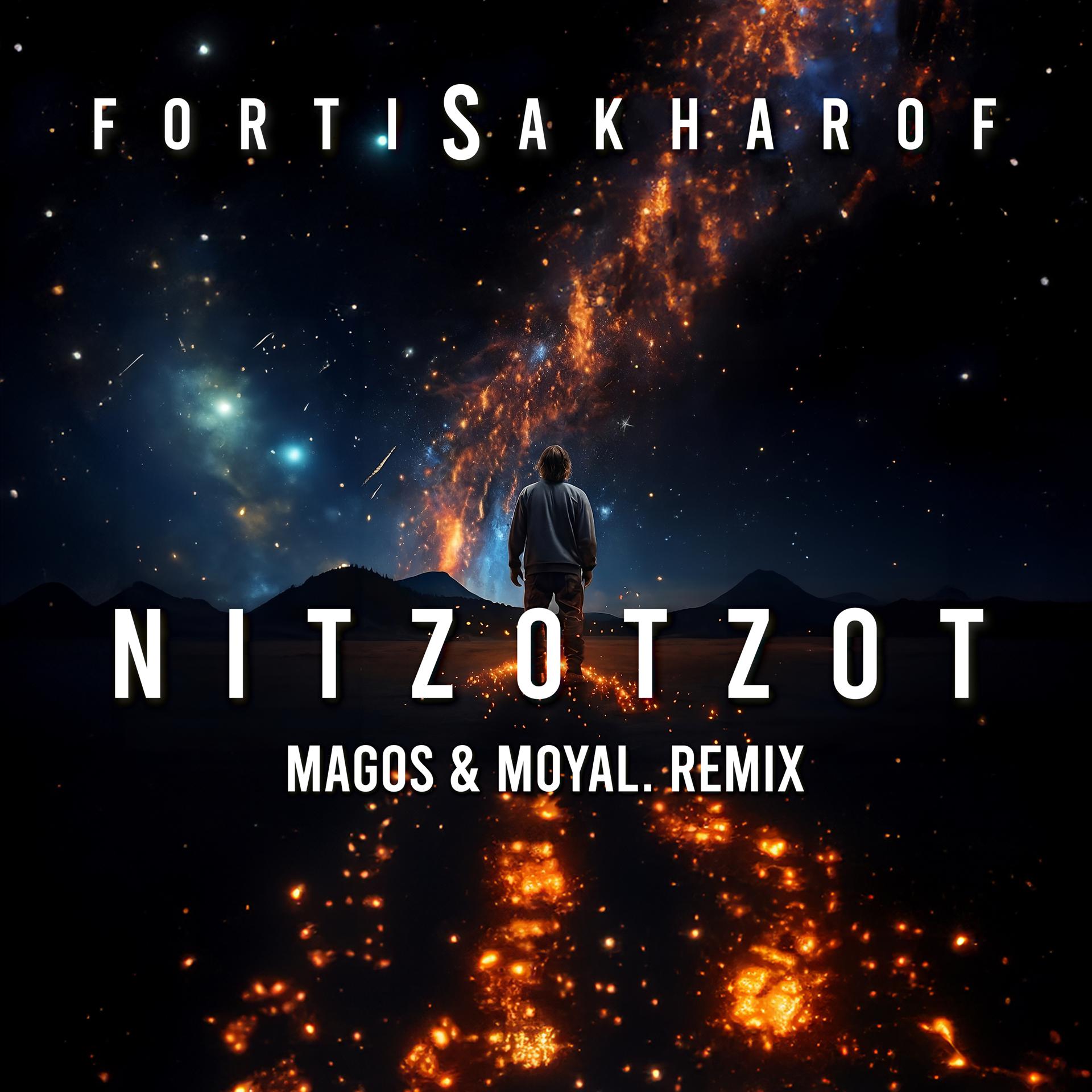 Постер альбома Nitzotzot