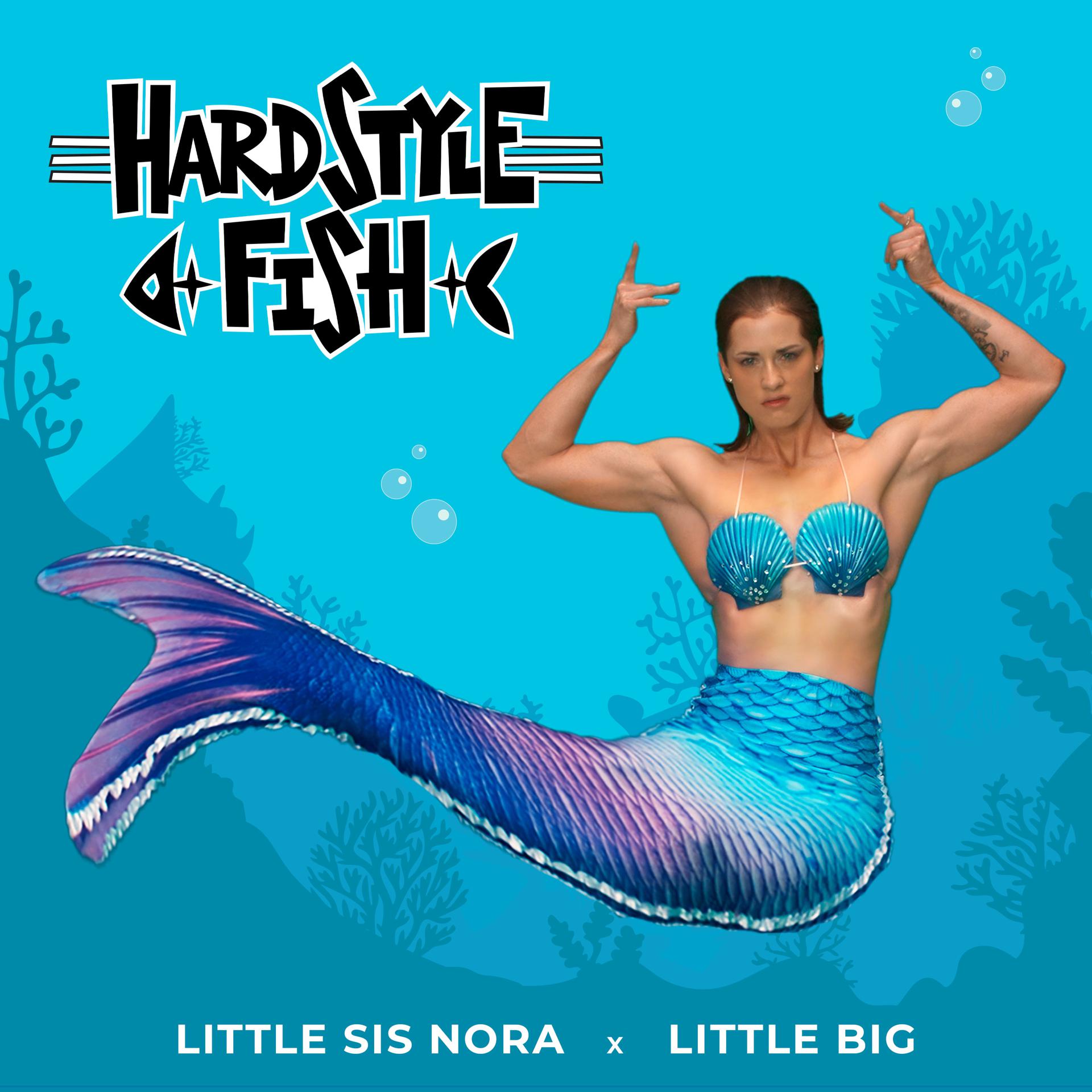 Постер альбома Hardstyle Fish