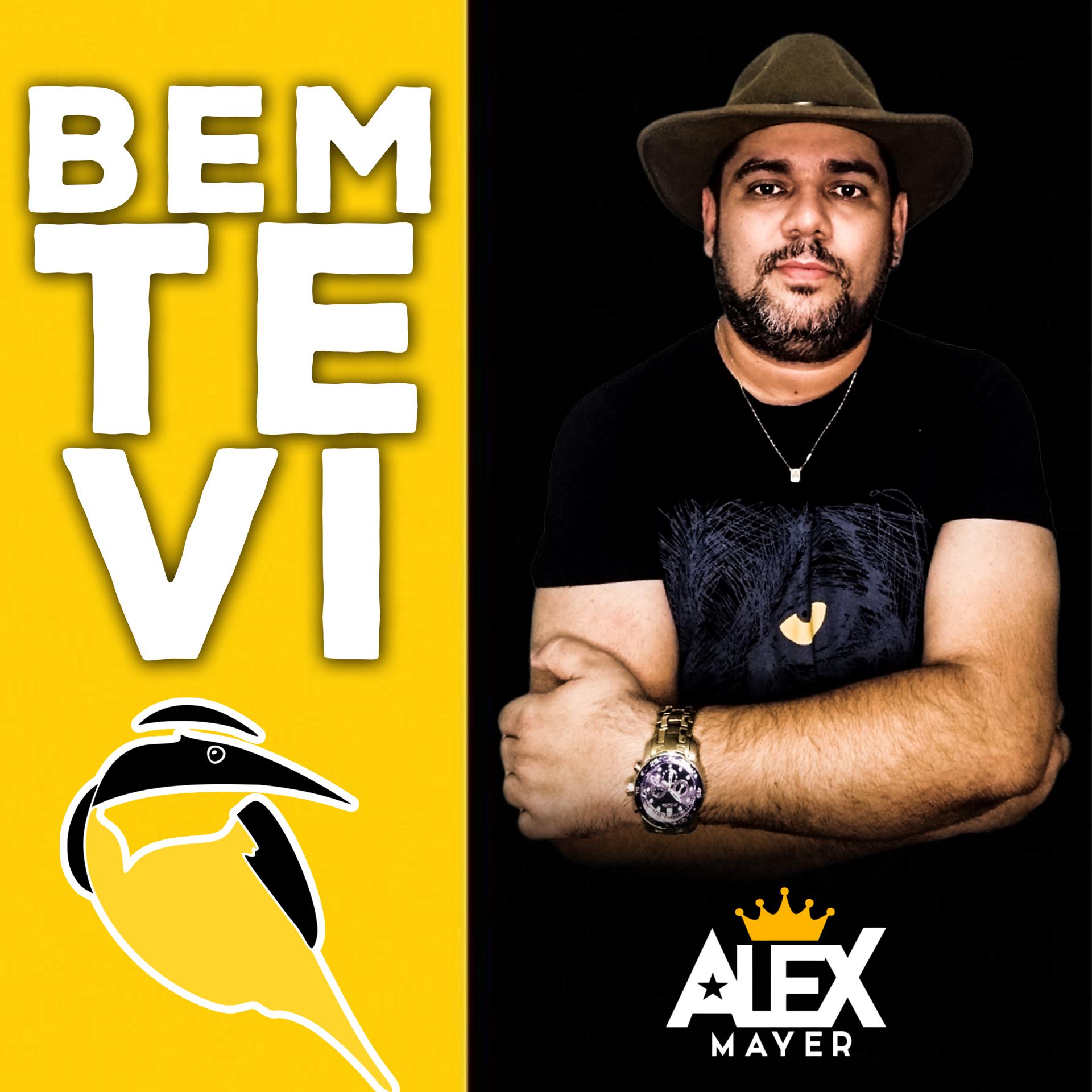Постер альбома Bem-Te-Vi