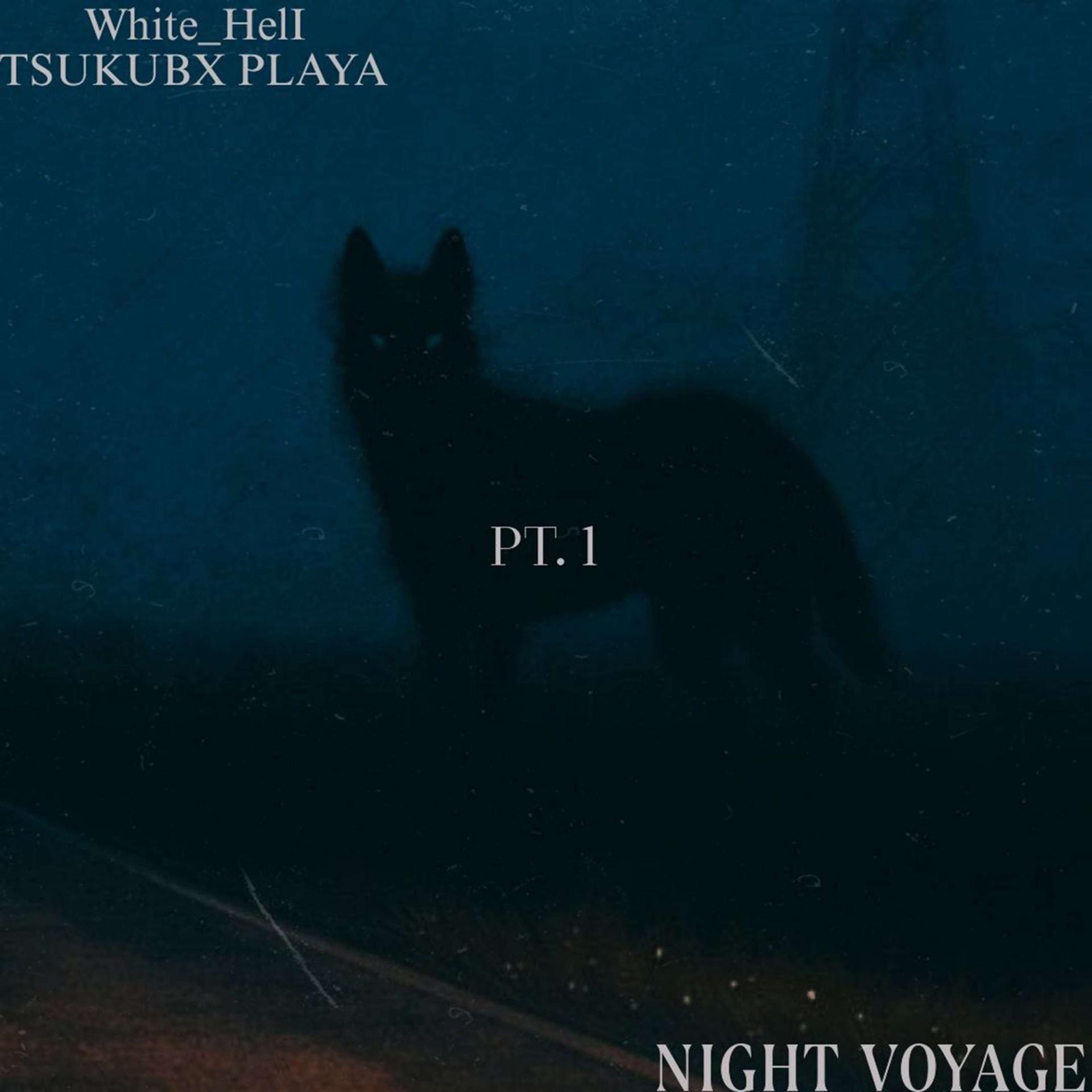 Постер альбома NIGHT VOYAGE PT.1