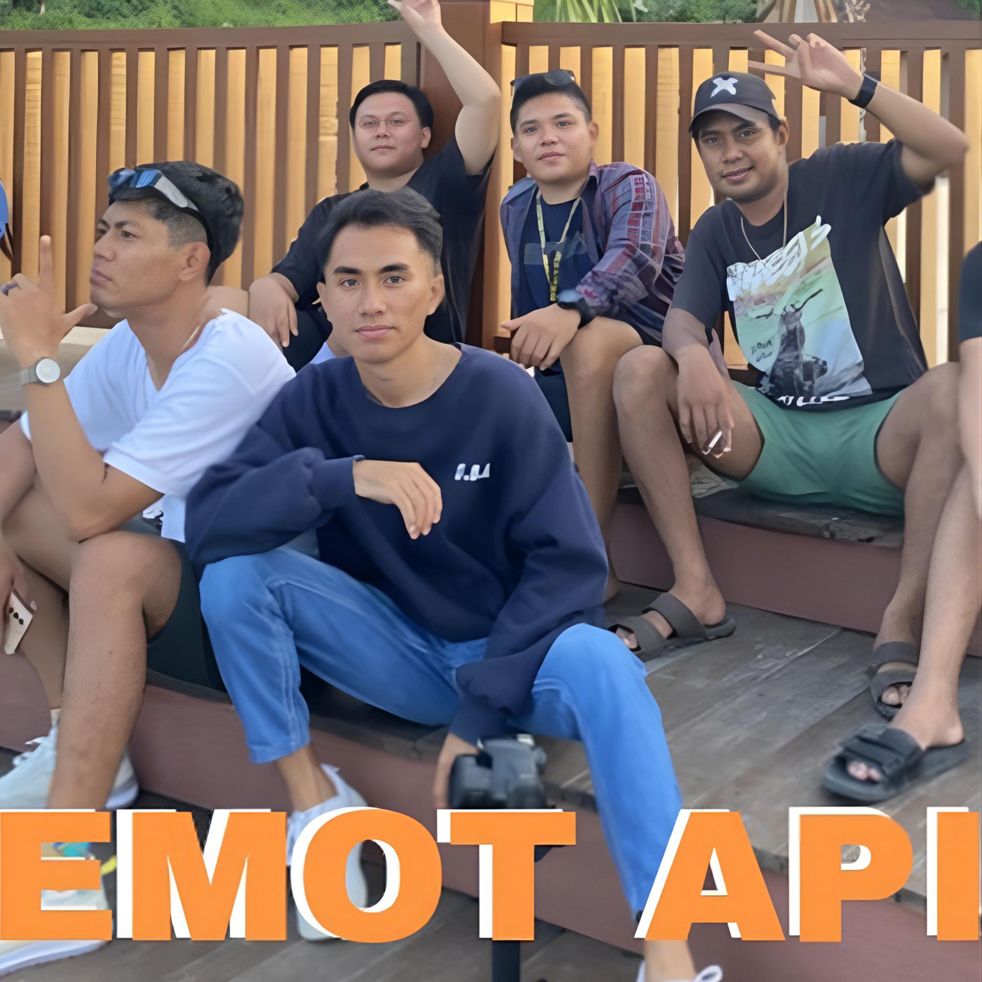 Постер альбома EMOT API