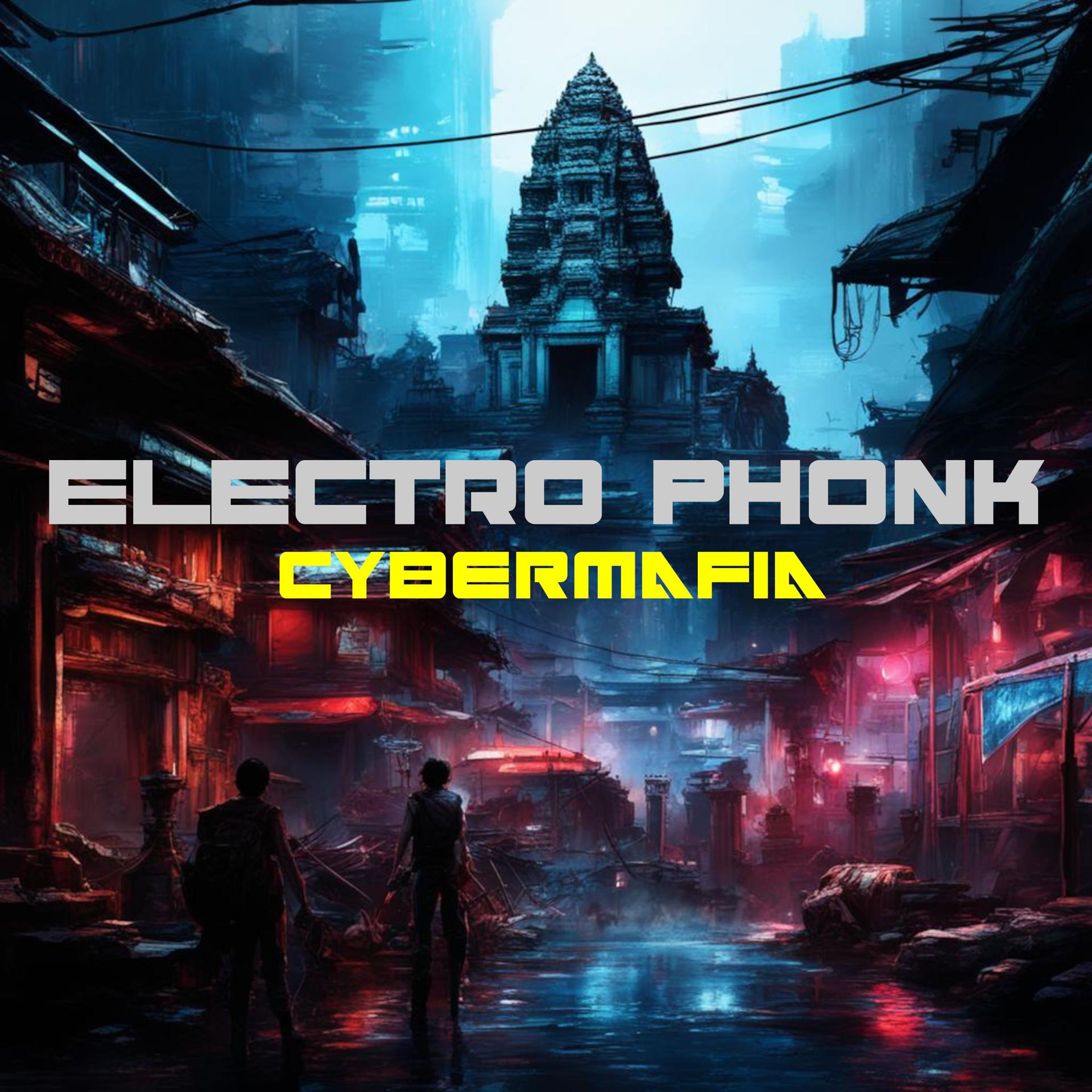 Постер альбома Electro Phonk