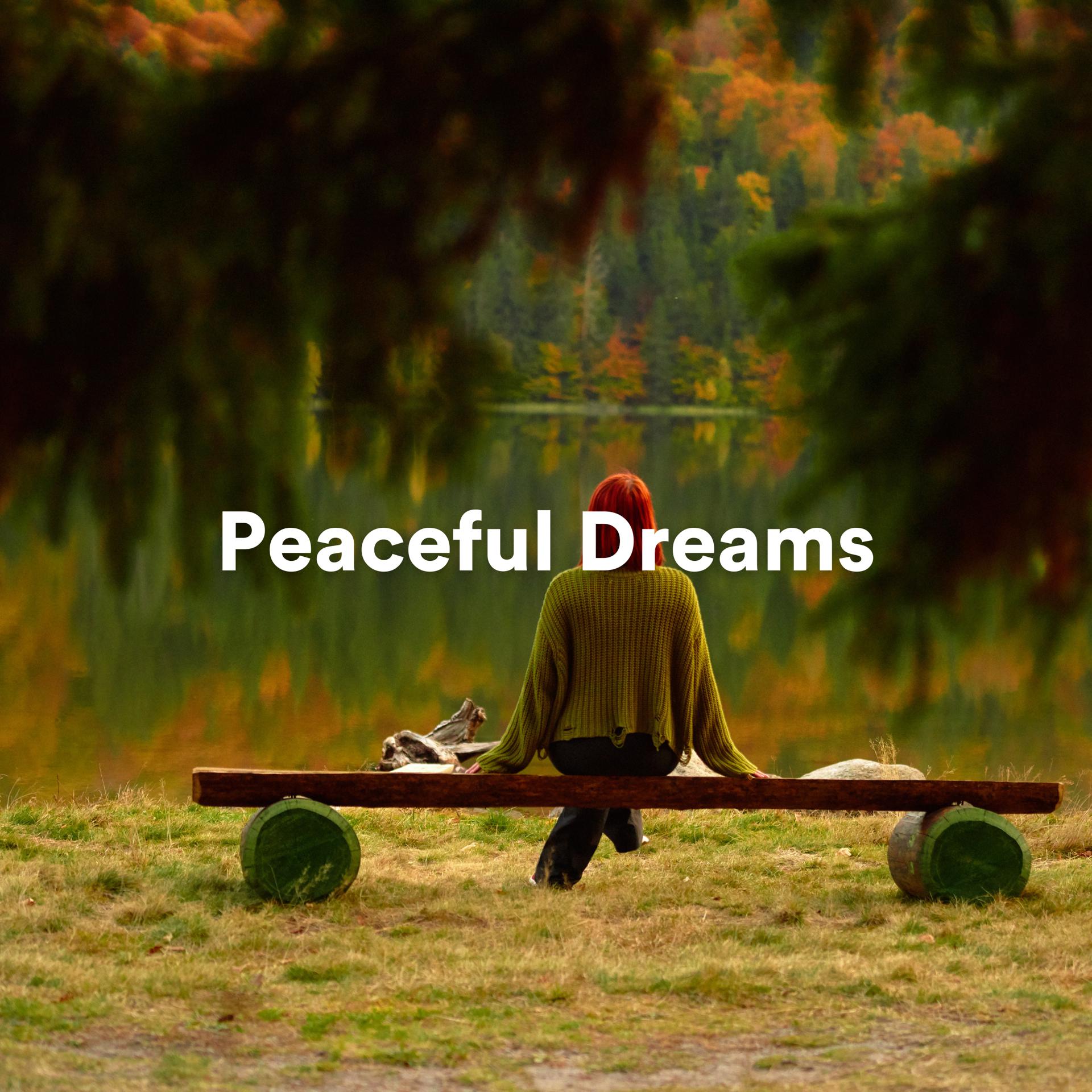 Постер альбома Peaceful Dreams