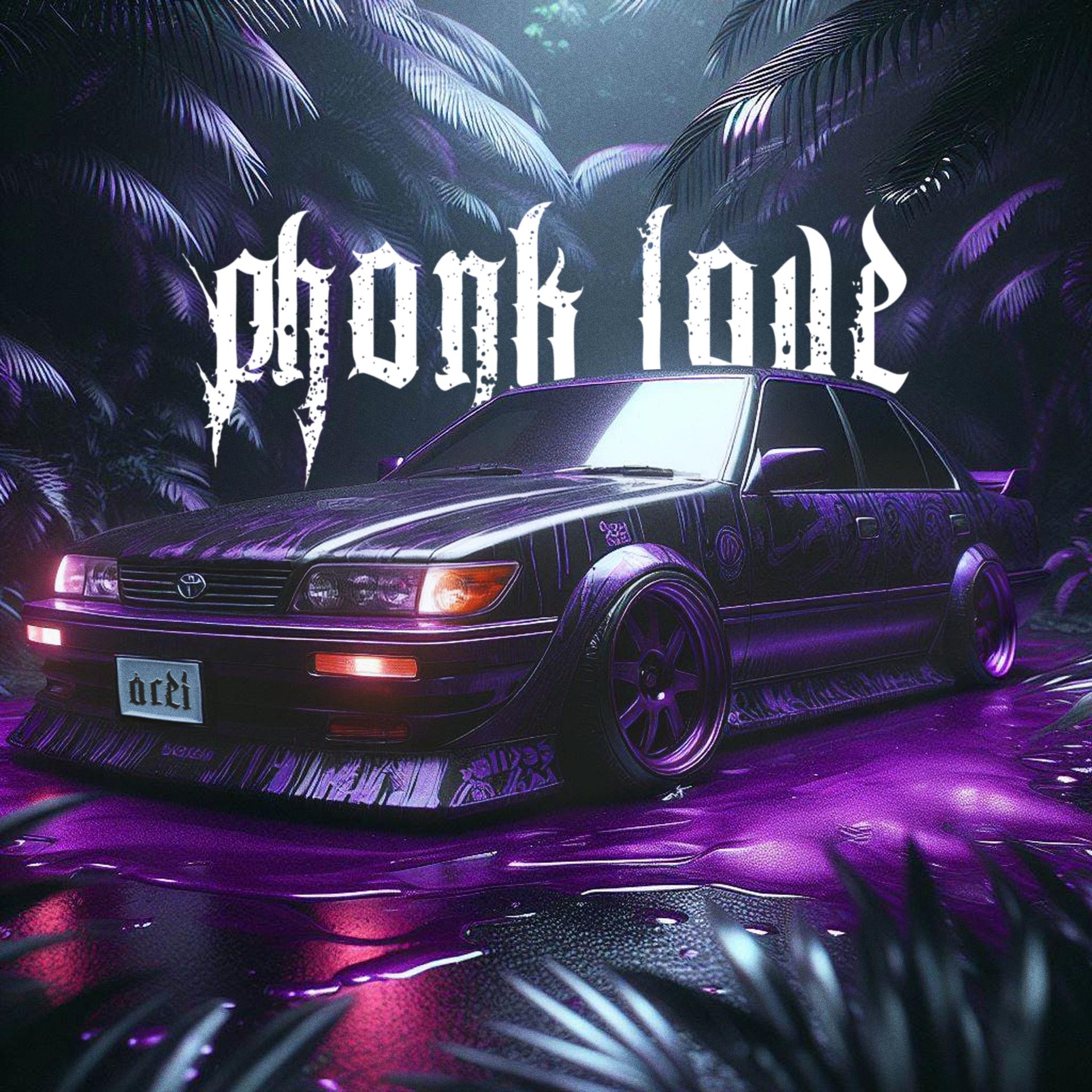 Постер альбома Phonk Love
