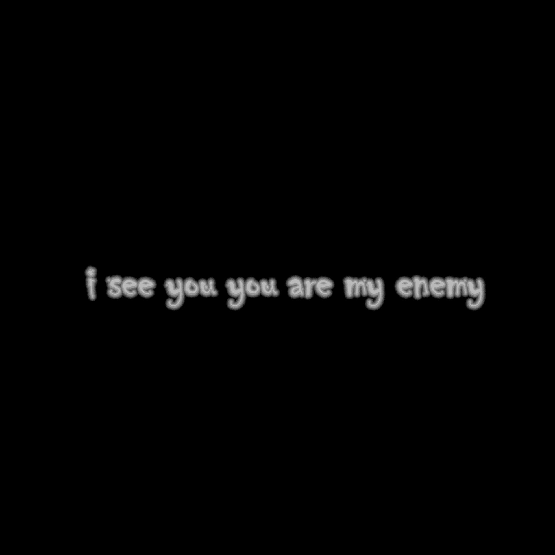 Постер альбома i see you you are my enemy