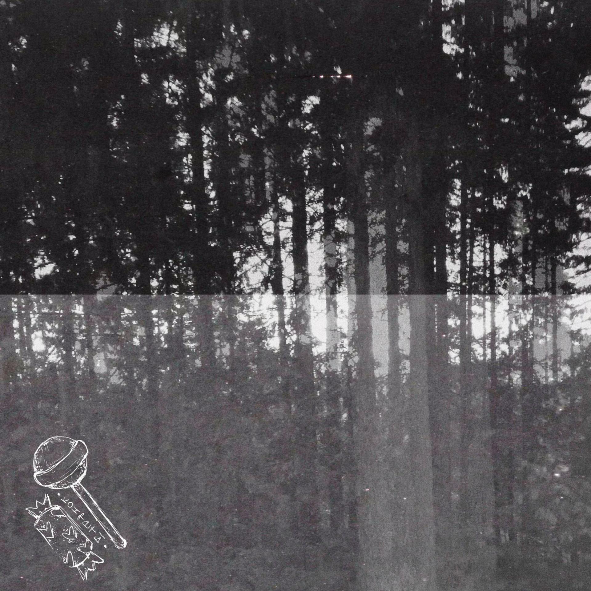 Постер альбома сказочный лес