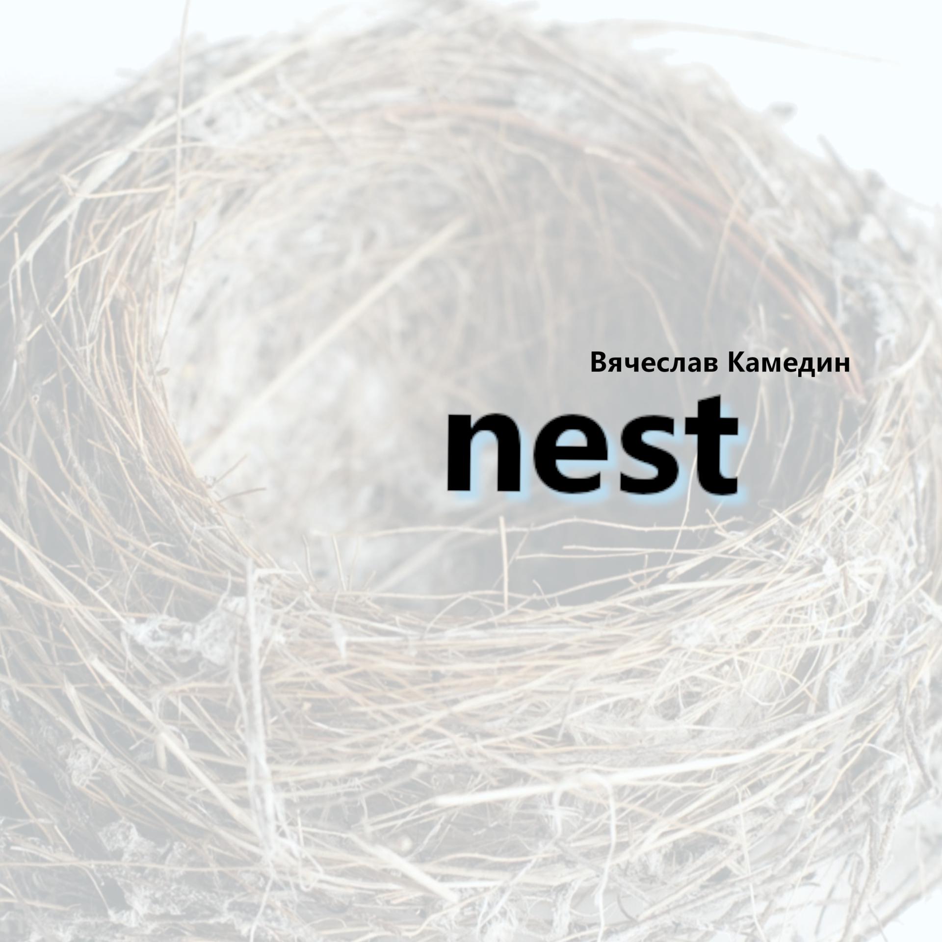 Постер альбома Nest