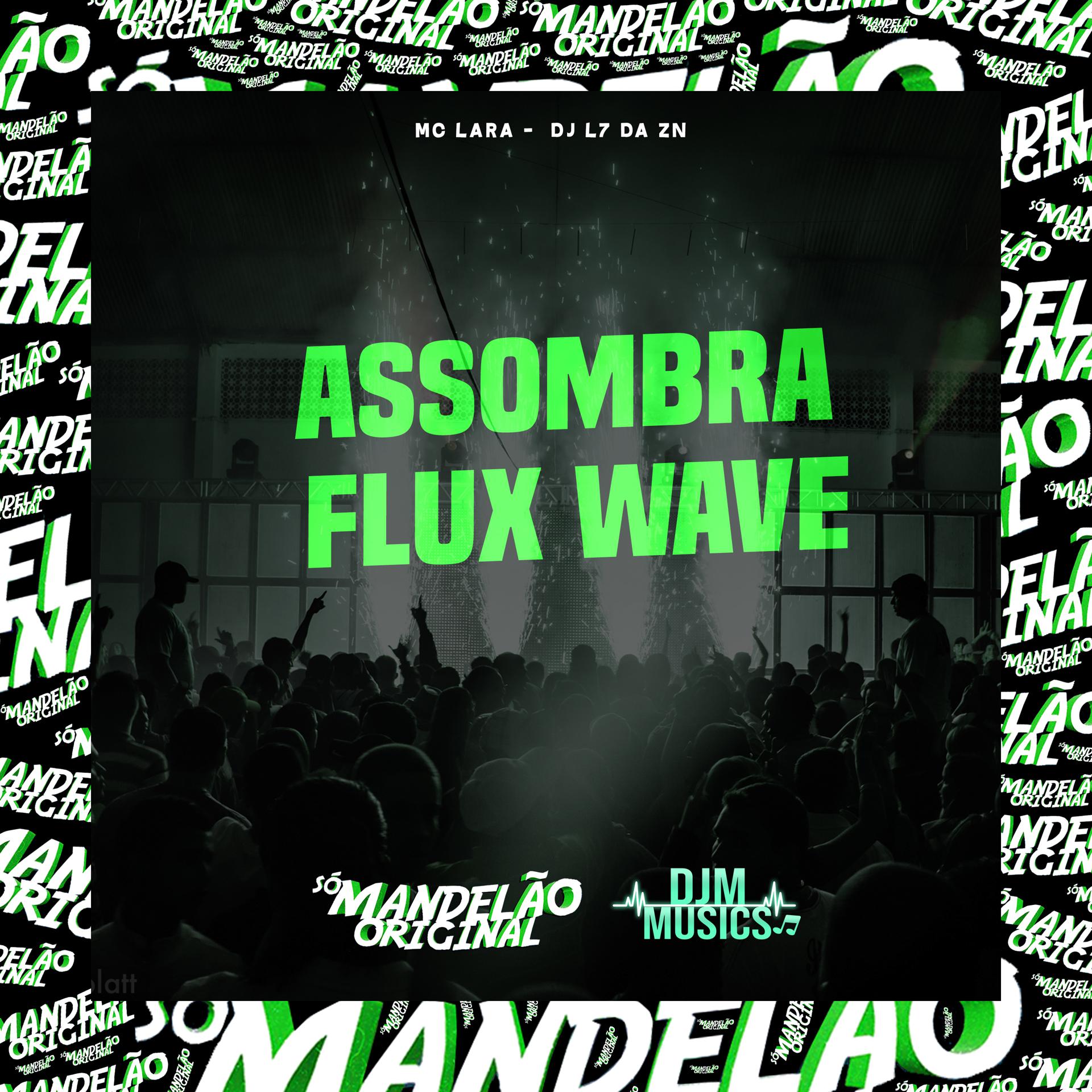 Постер альбома Assombra Flux Wave