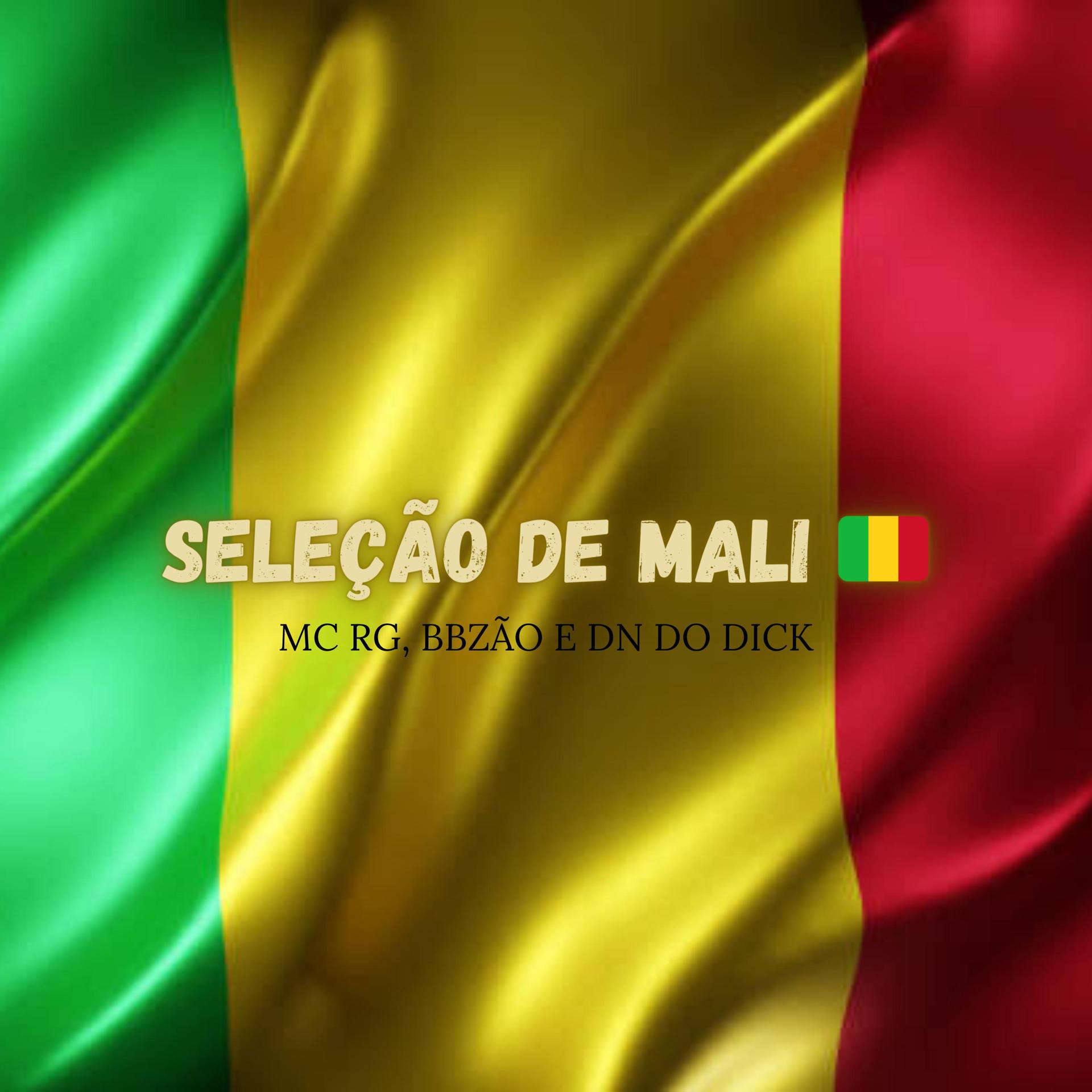 Постер альбома Seleção de Mali