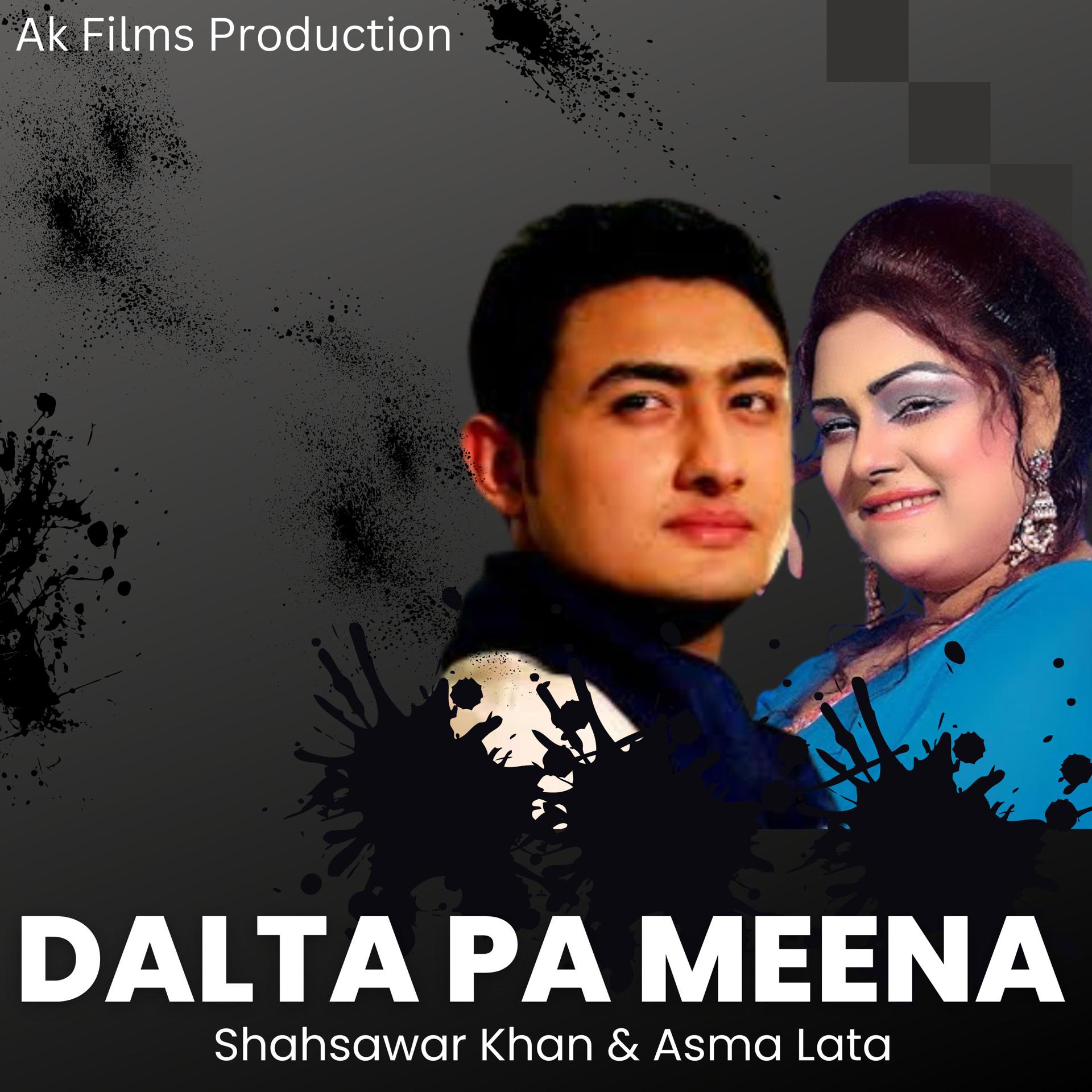 Постер альбома Dalta Pa Meena