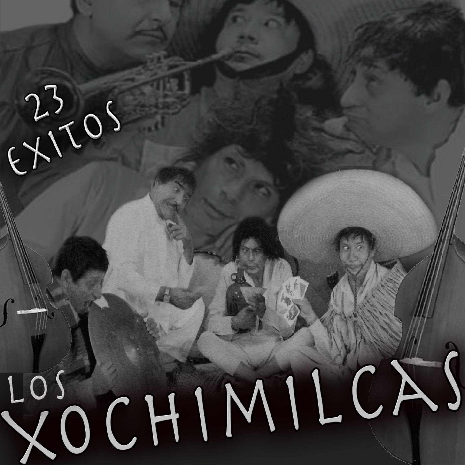 Постер альбома 23 Éxitos
