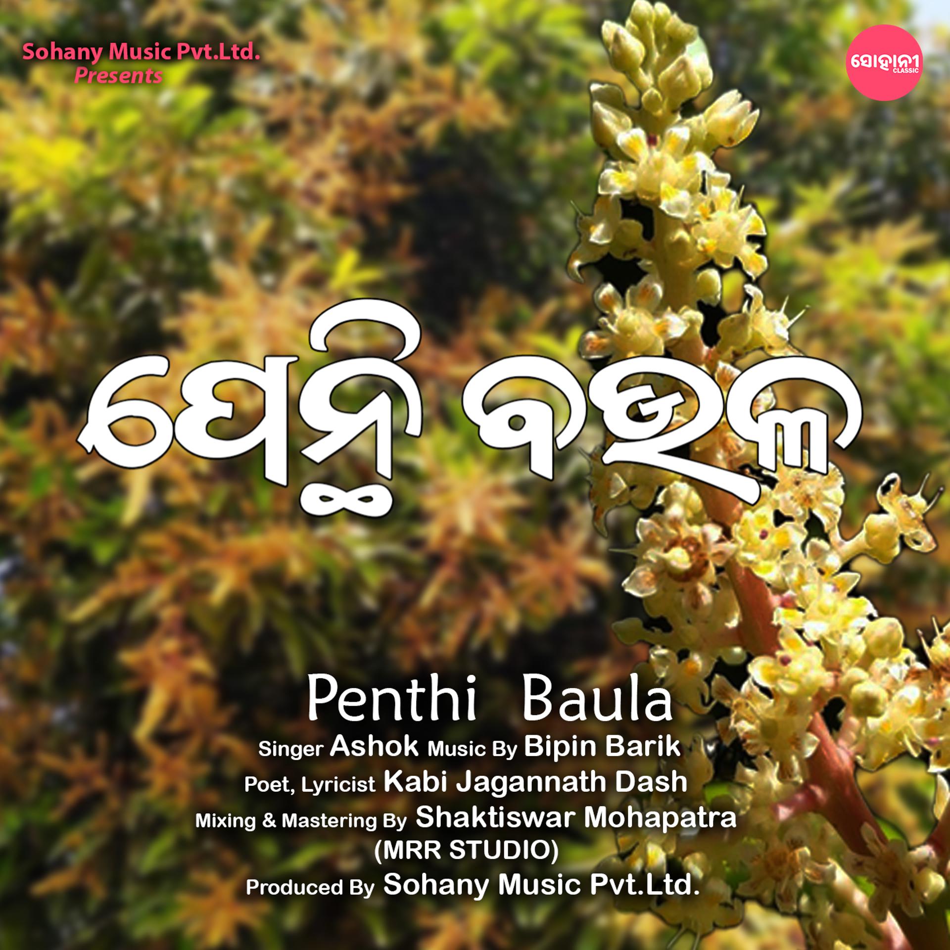 Постер альбома Penthi Baula