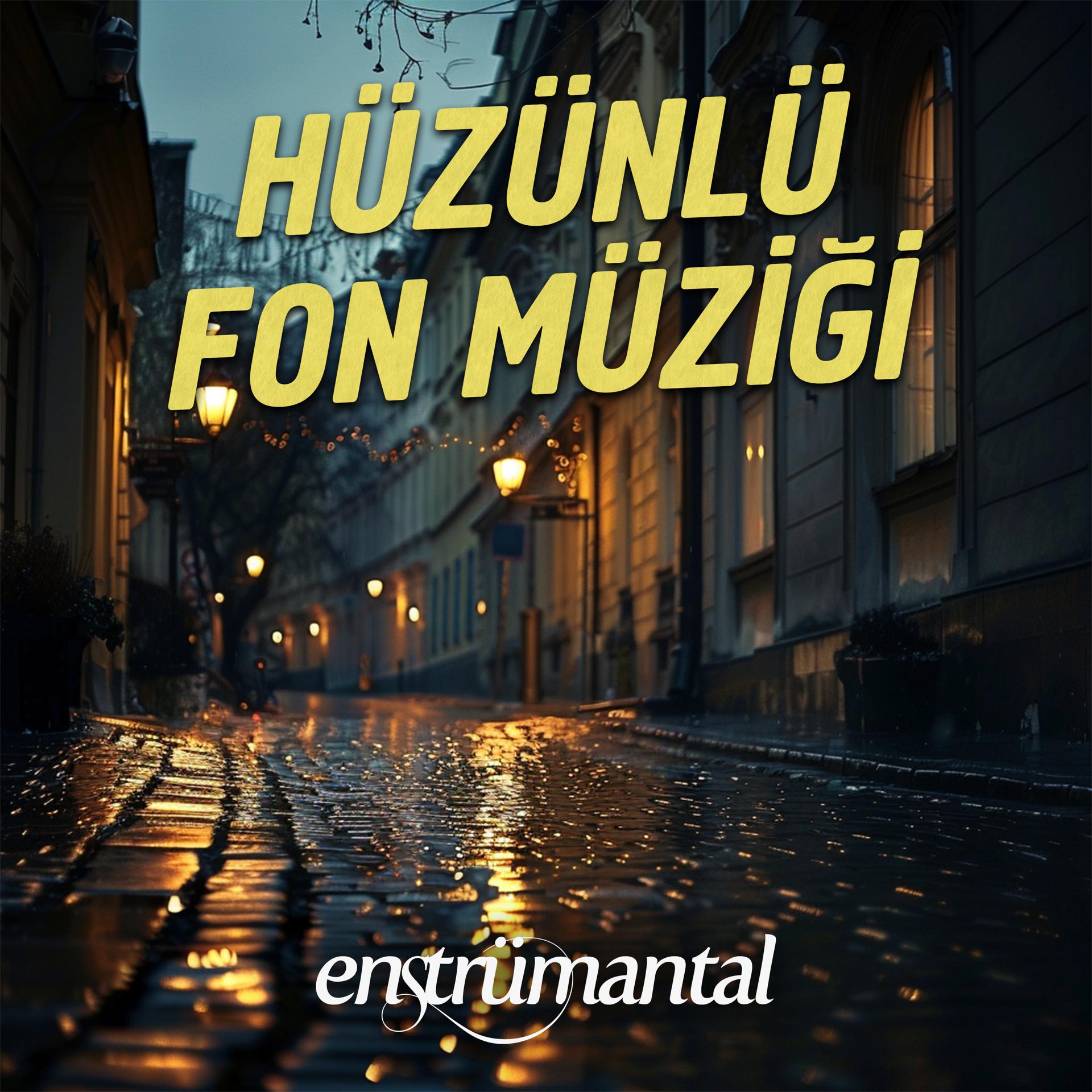 Постер альбома Hüzünlü Fon Müziği