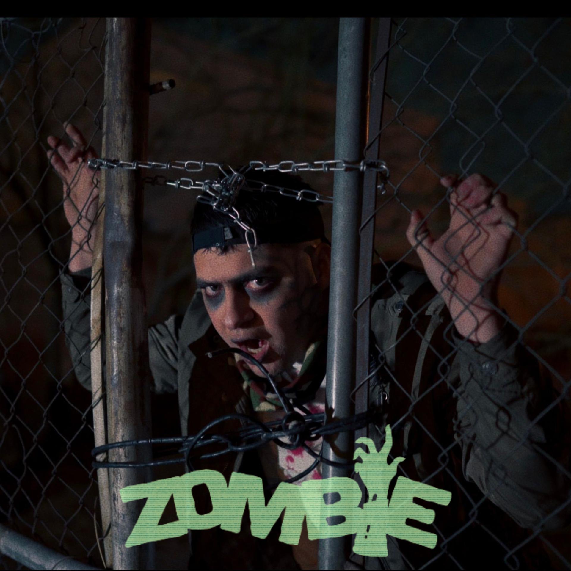 Постер альбома Zombie (Deluxe Edition)