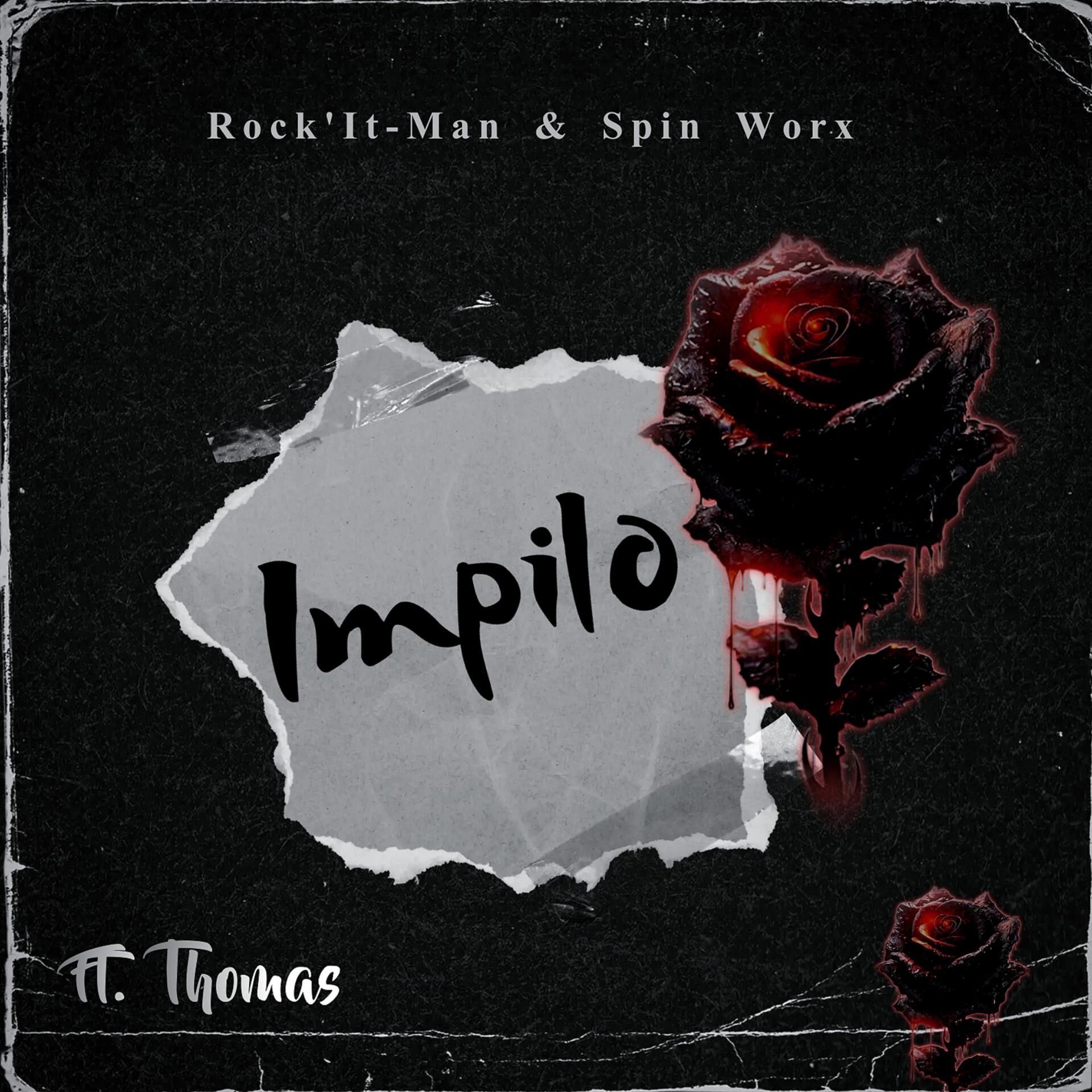 Постер альбома Impilo