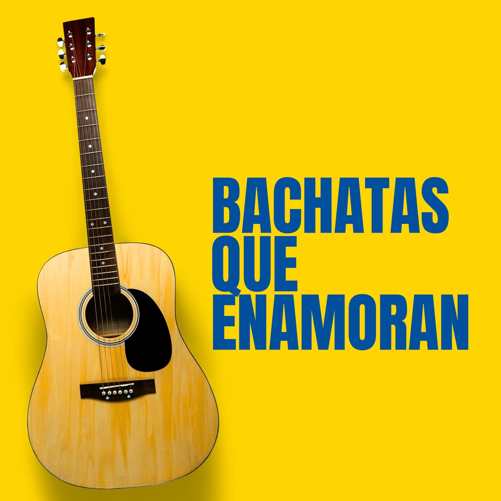 Постер альбома Bachatas que Enamoran