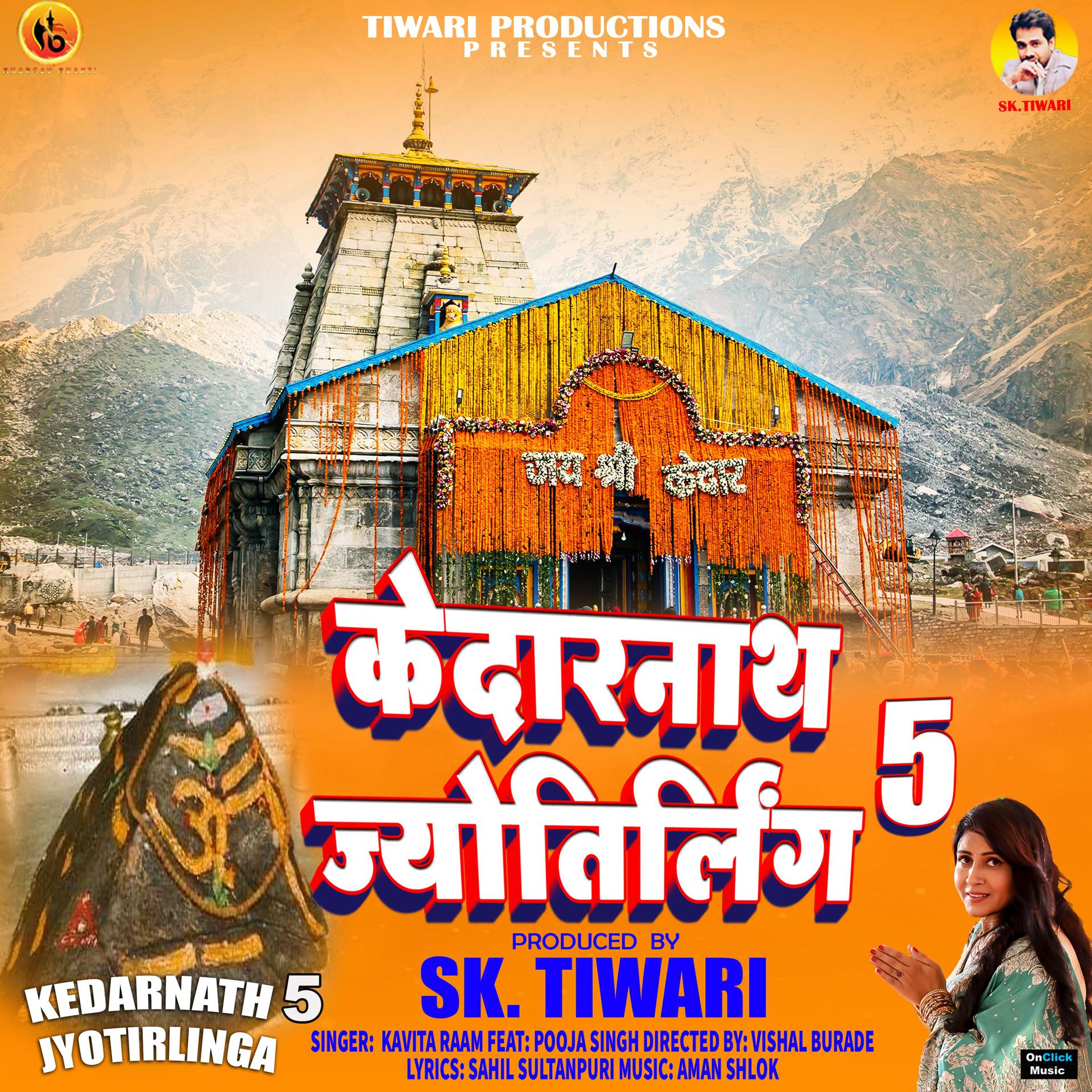 Постер альбома Kedarnath Jyotirlinga, Pt. 5