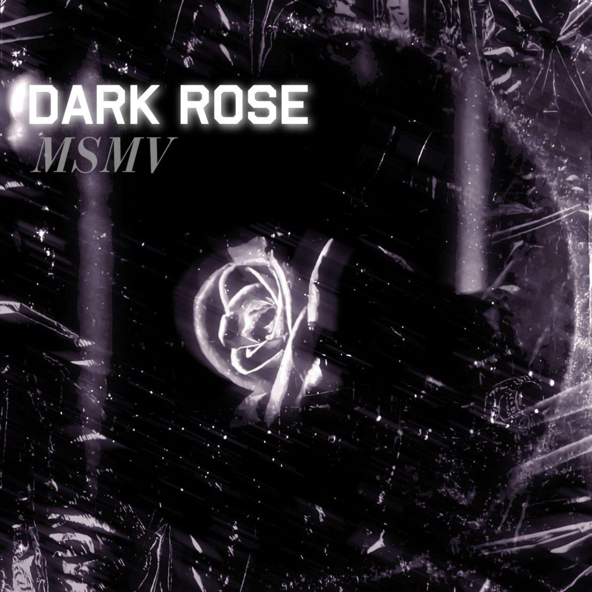 Постер альбома Dark Rose