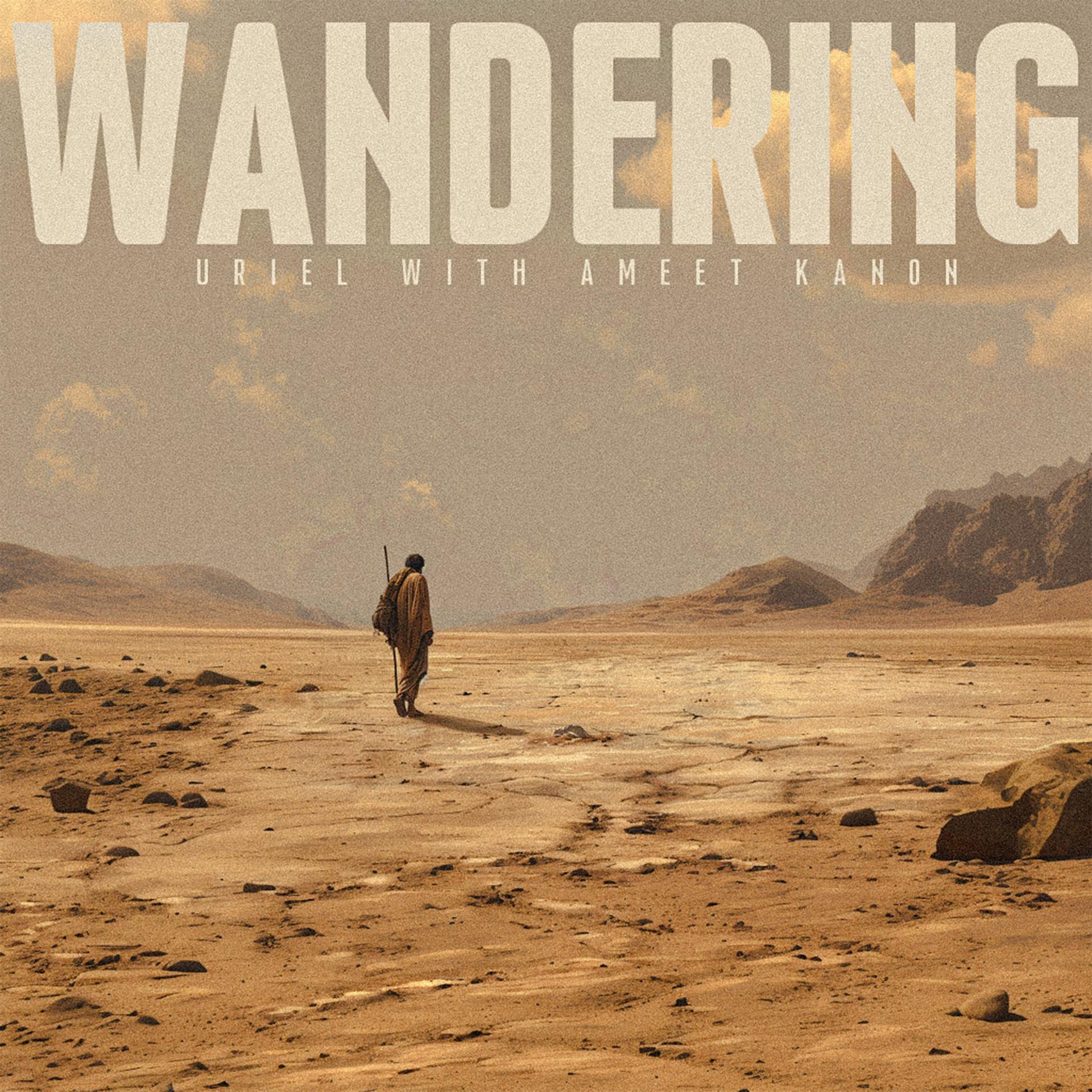 Постер альбома Wandering