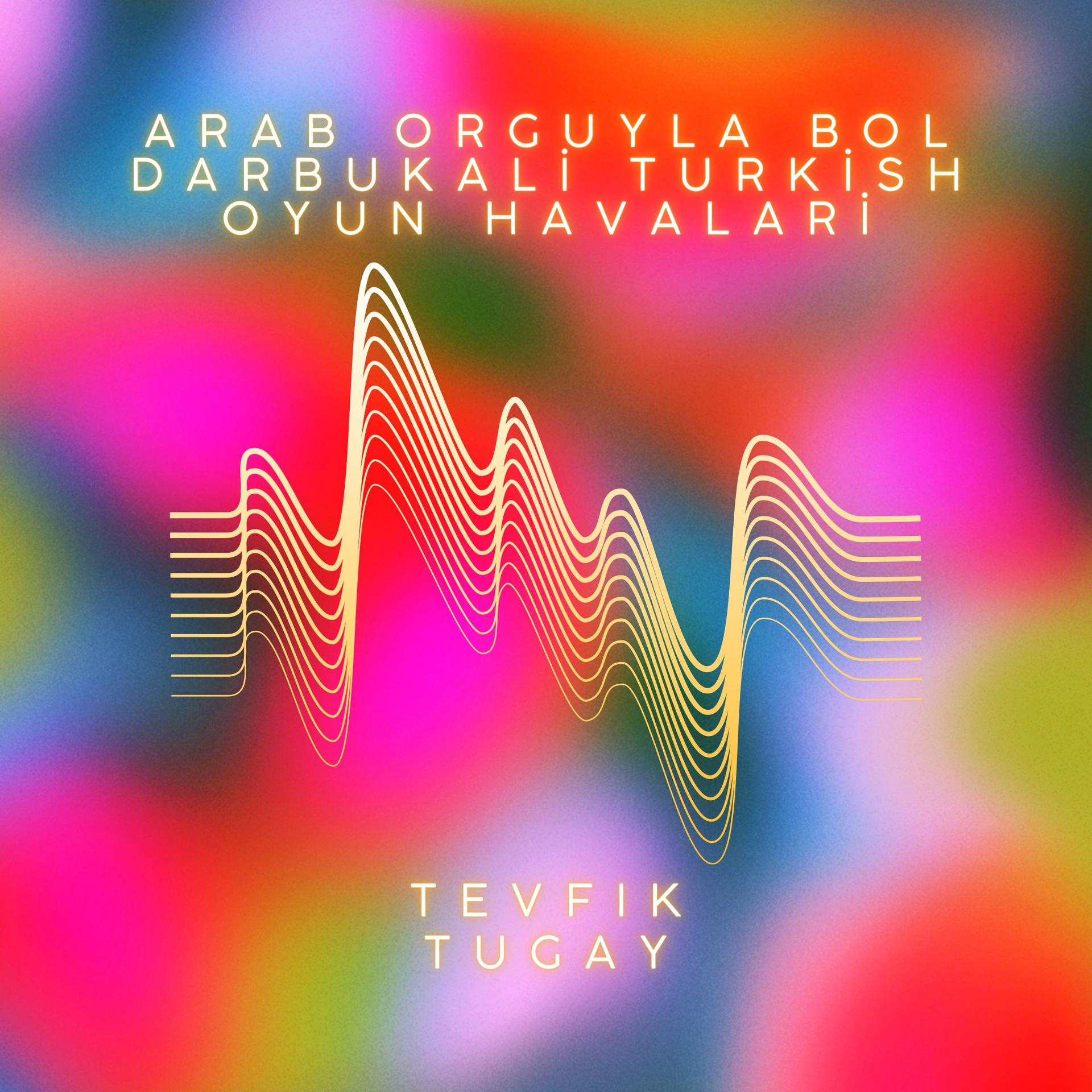 Постер альбома Arab Orguyla Bol Darbukalı Turkısh Oyun Havaları