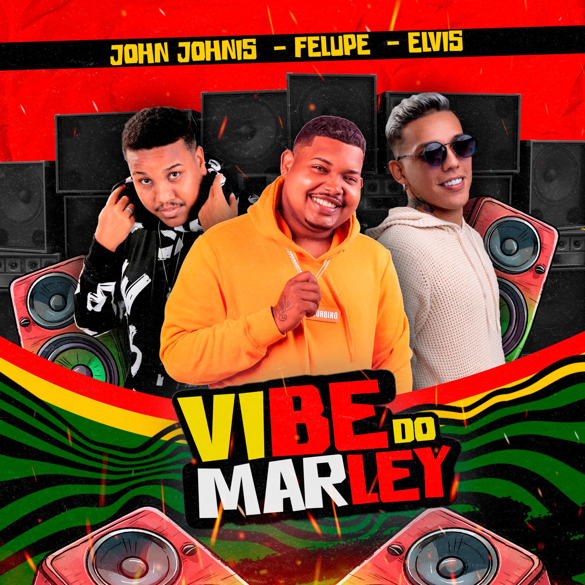 Постер альбома Vibe do Marley