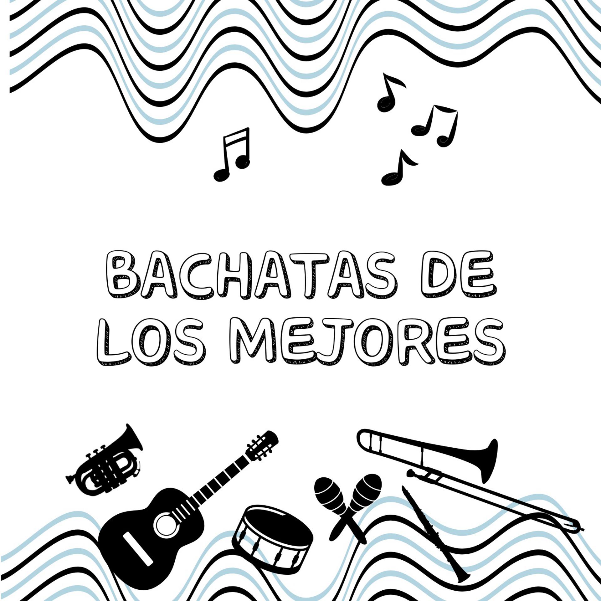 Постер альбома Bachatas de los mejores