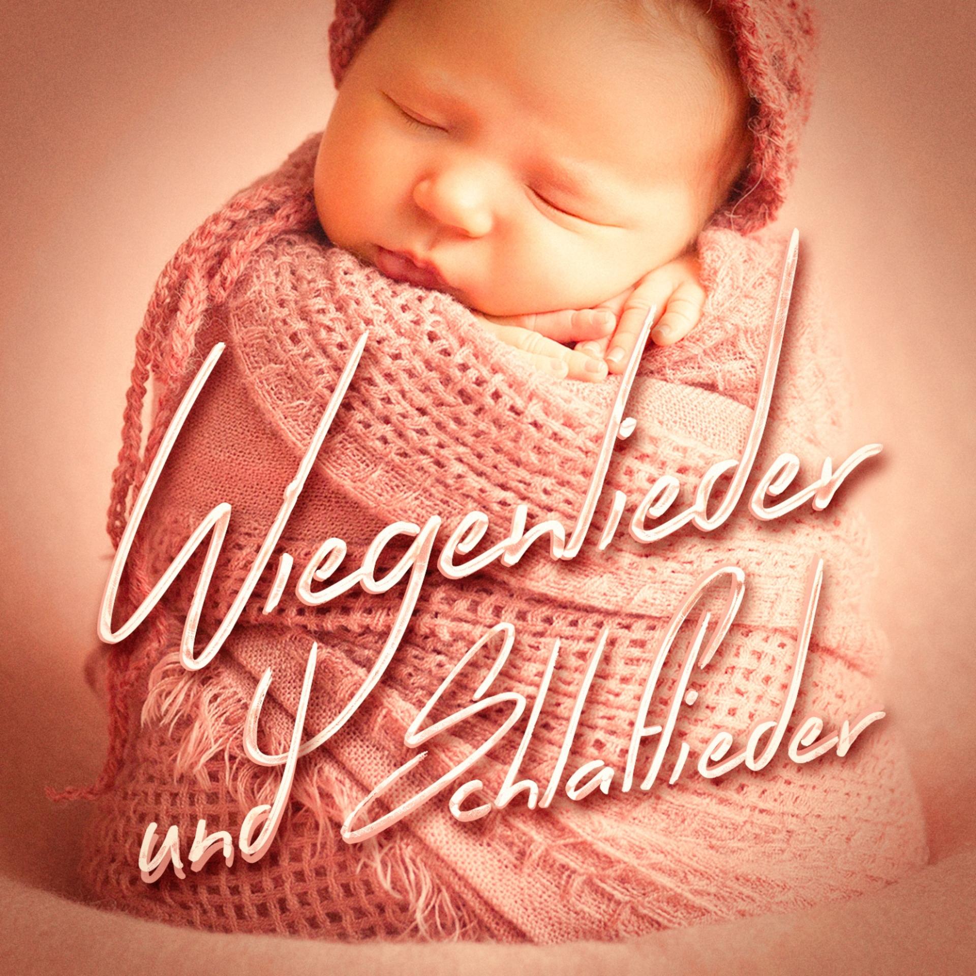 Постер альбома Wiegenlieder und Schlaflieder