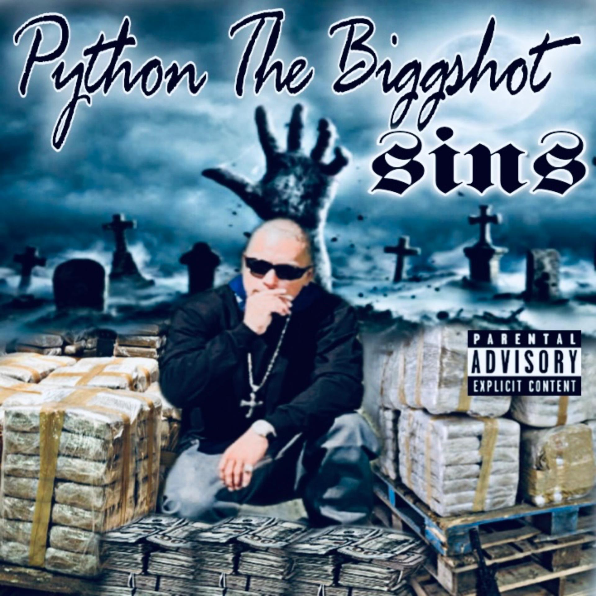 Постер альбома Sins