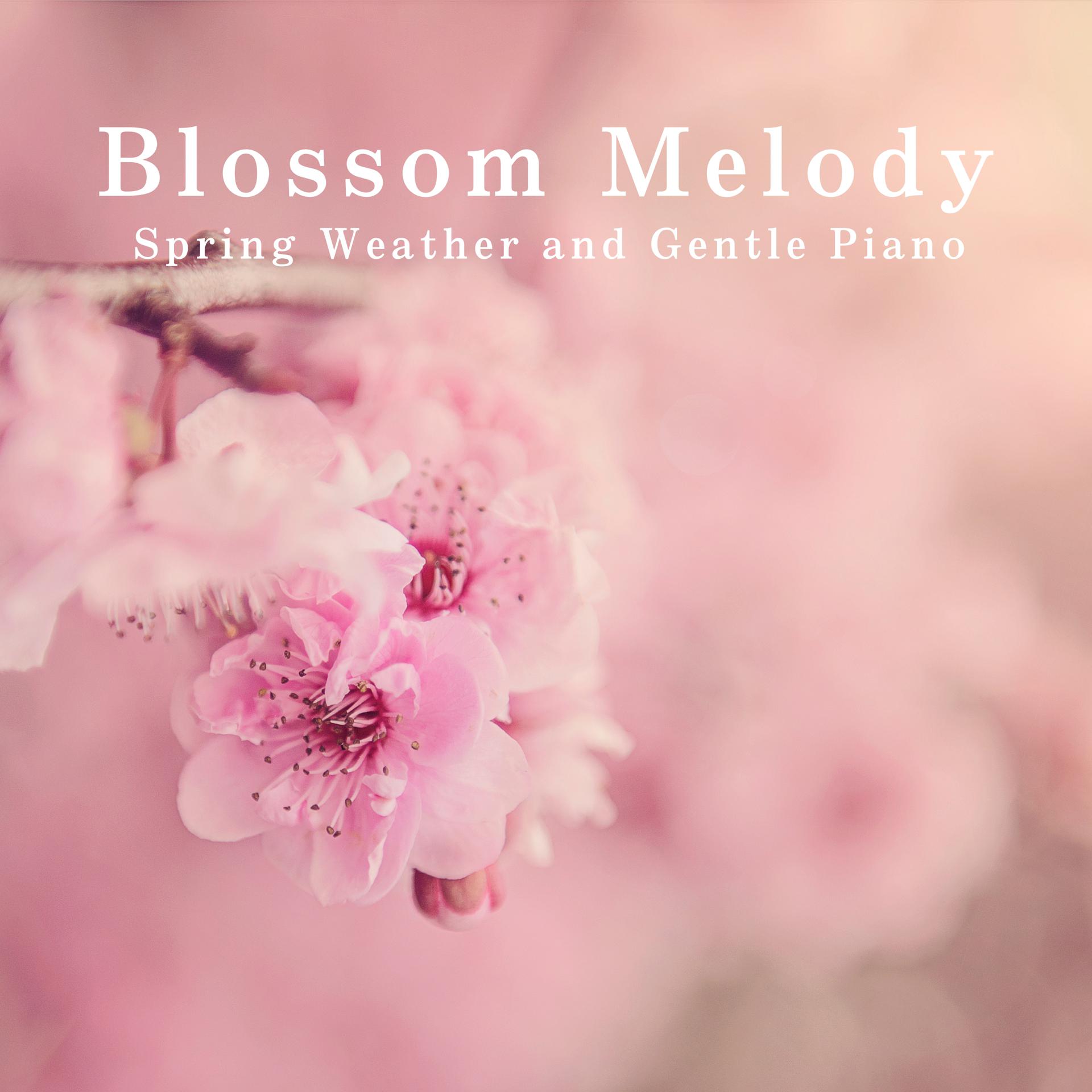 Постер альбома Blossom Melody - Spring Weather and Gentle Piano