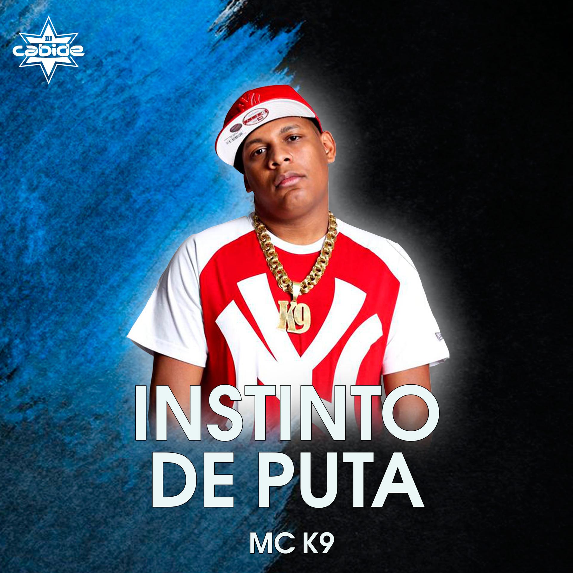 Постер альбома Instinto de Puta