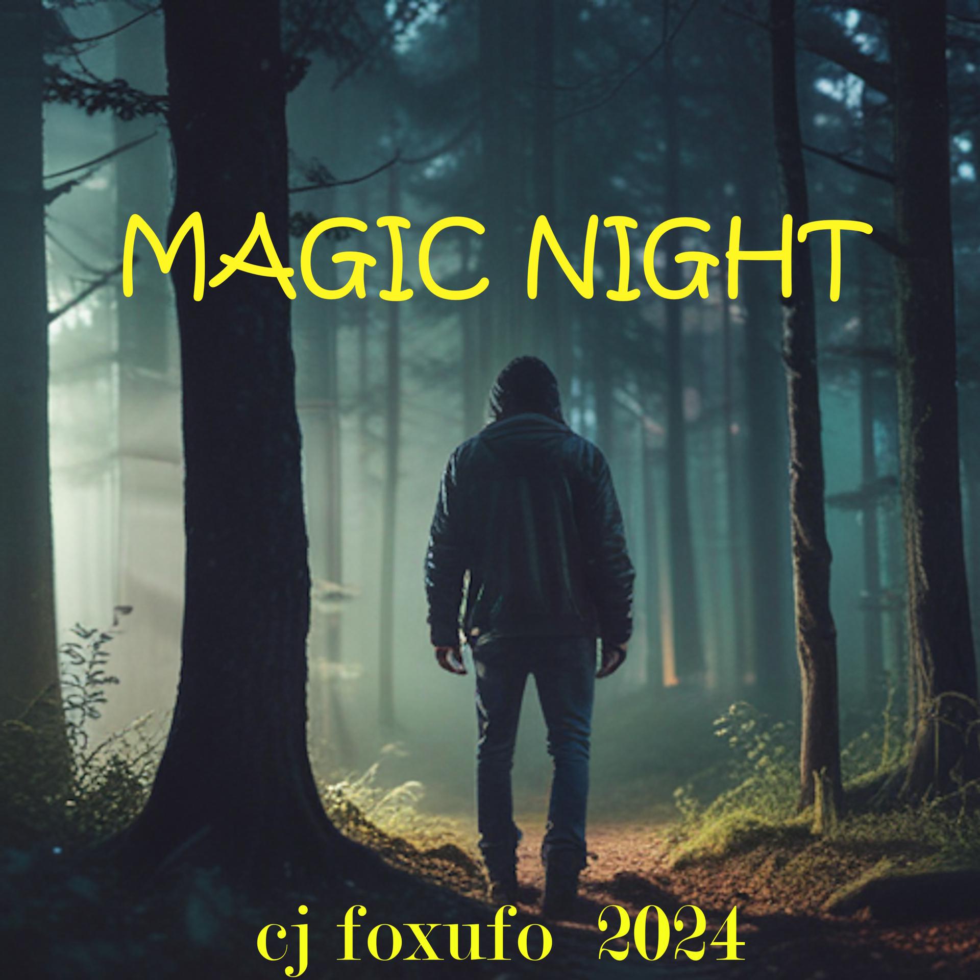 Постер альбома Magic Night