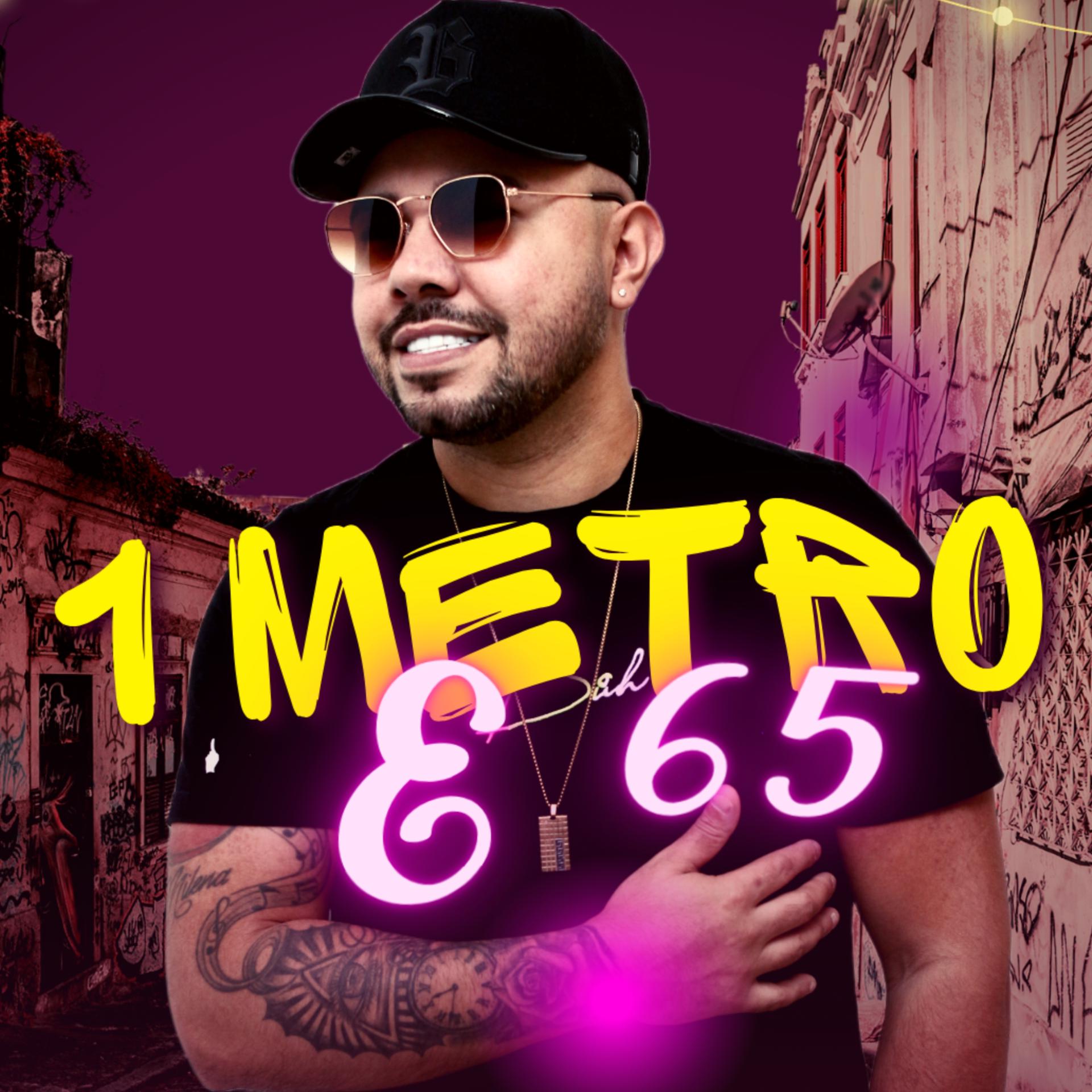Постер альбома 1 Metro e 65