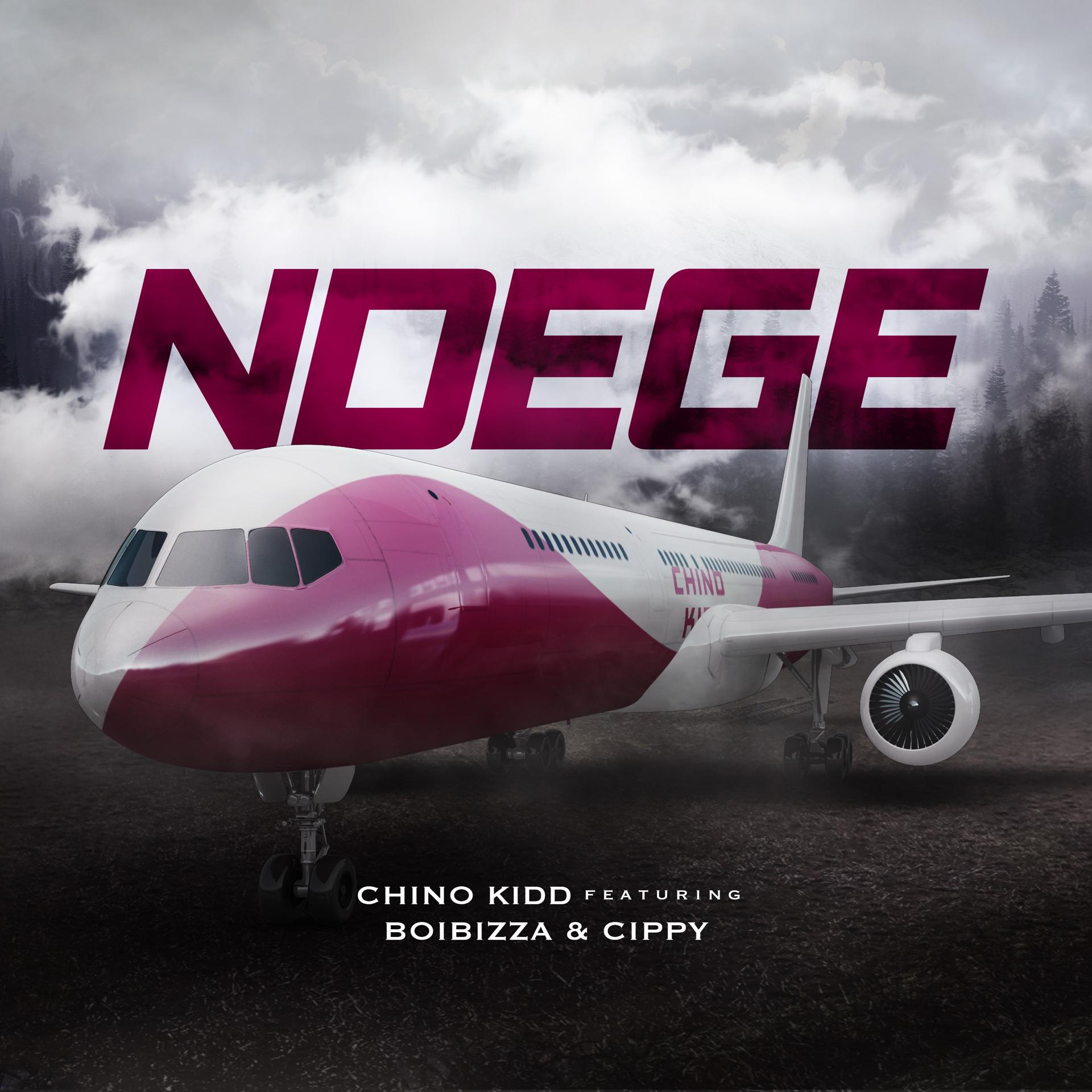 Постер альбома Ndege