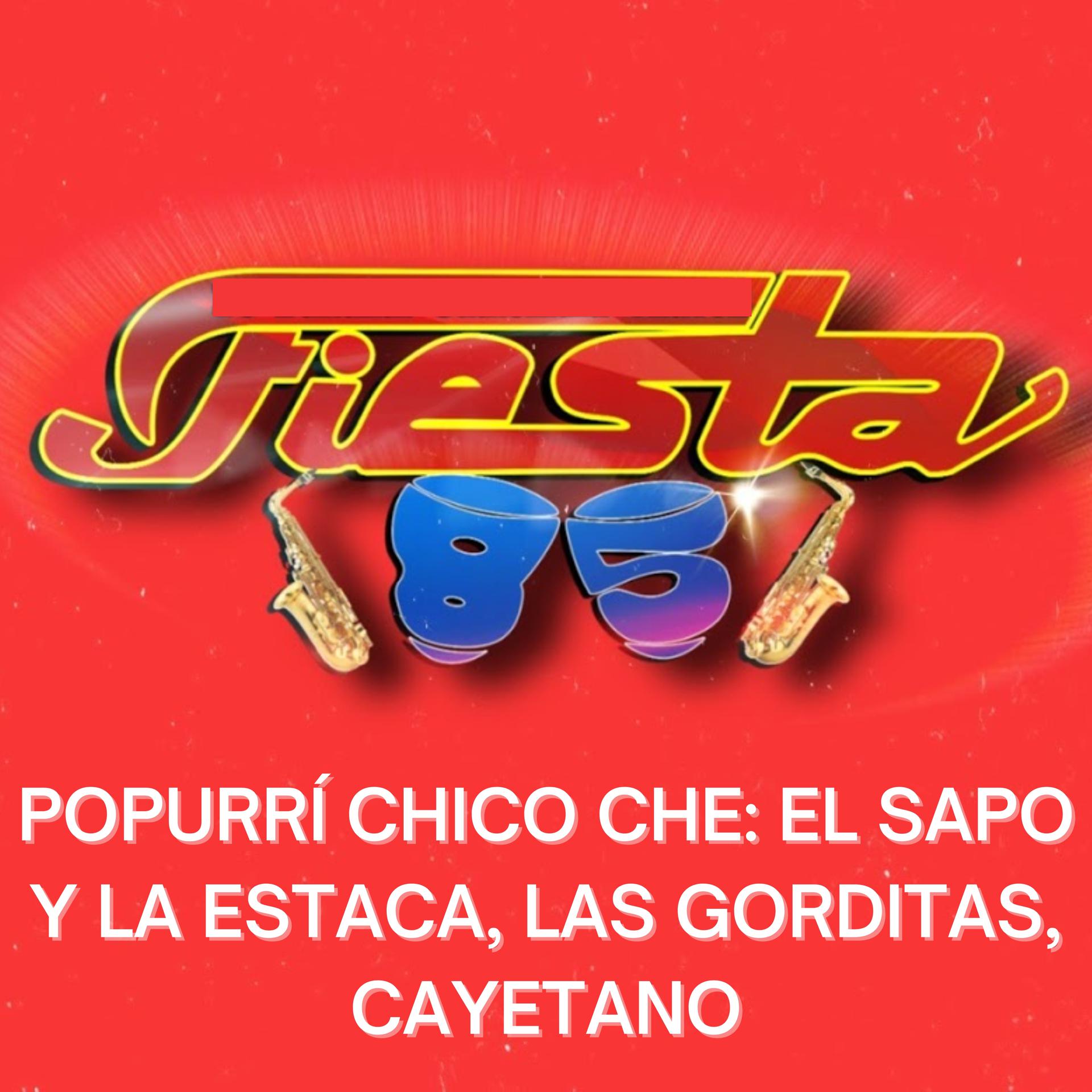 Постер альбома Popurrí Chico Che: El Sapo y la Estaca, las Gorditas, Cayetano
