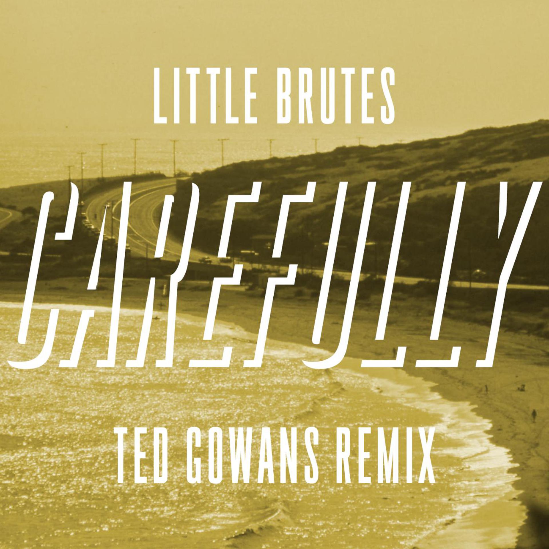 Постер альбома Carefully (Ted Gowans Remix)