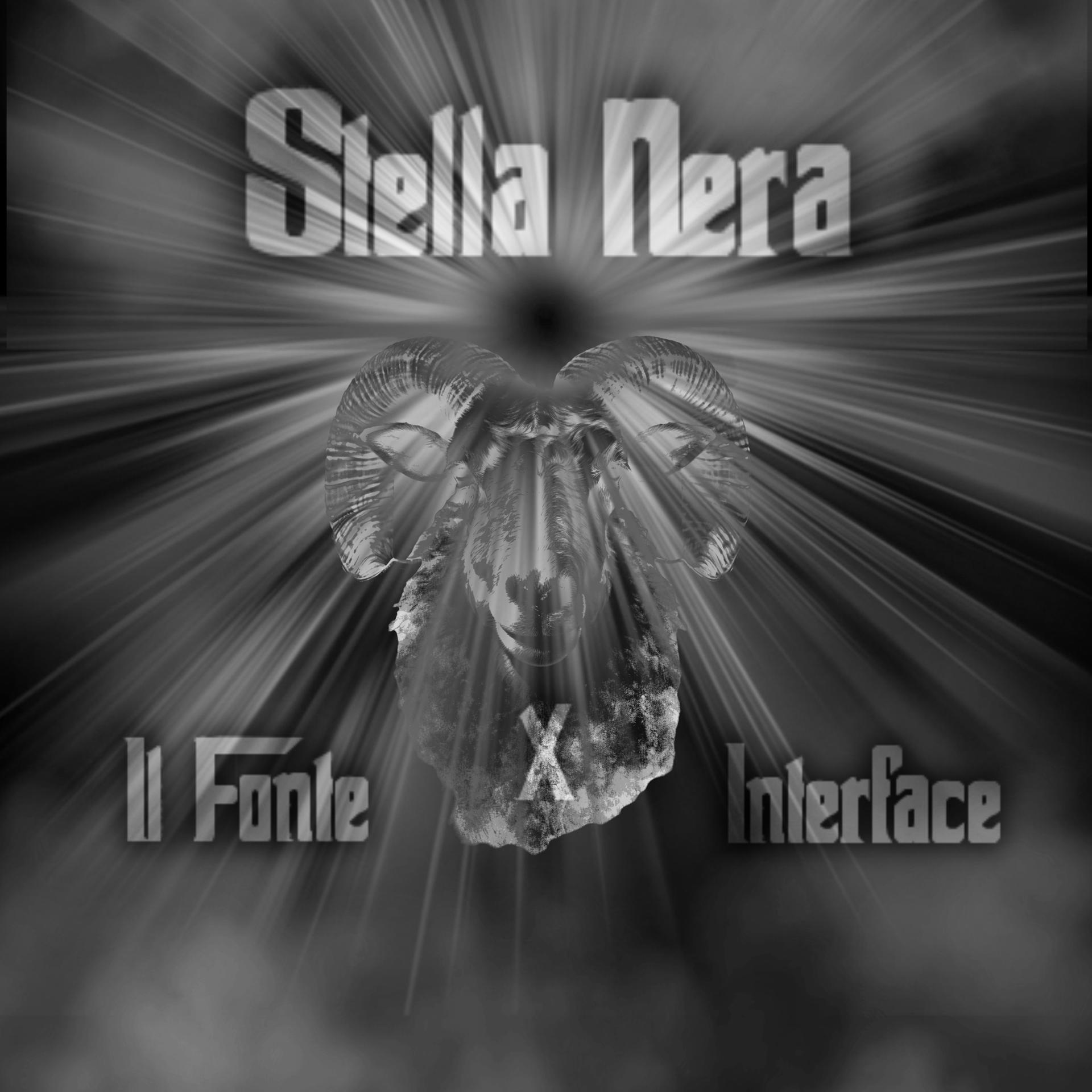 Постер альбома Stella Nera