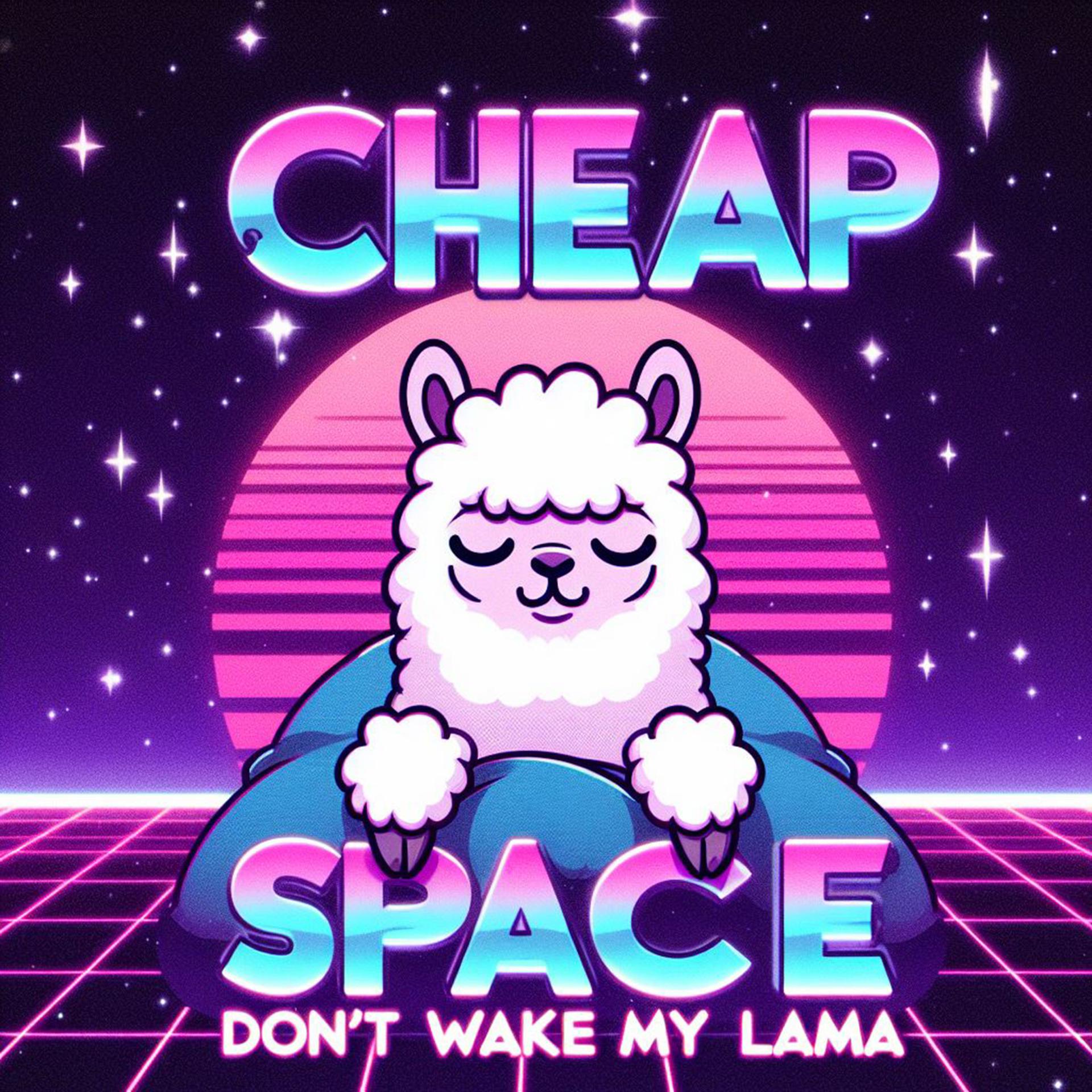 Постер альбома Don`t Wake My Lama