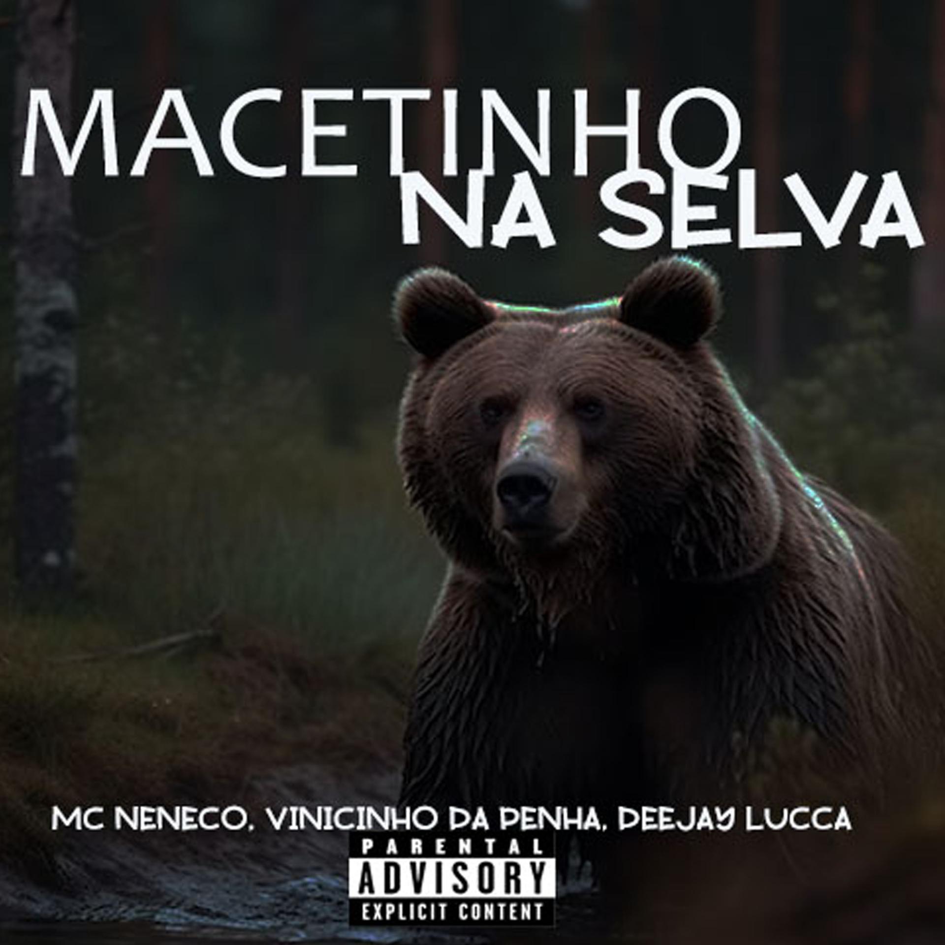 Постер альбома Macetinho na Selva