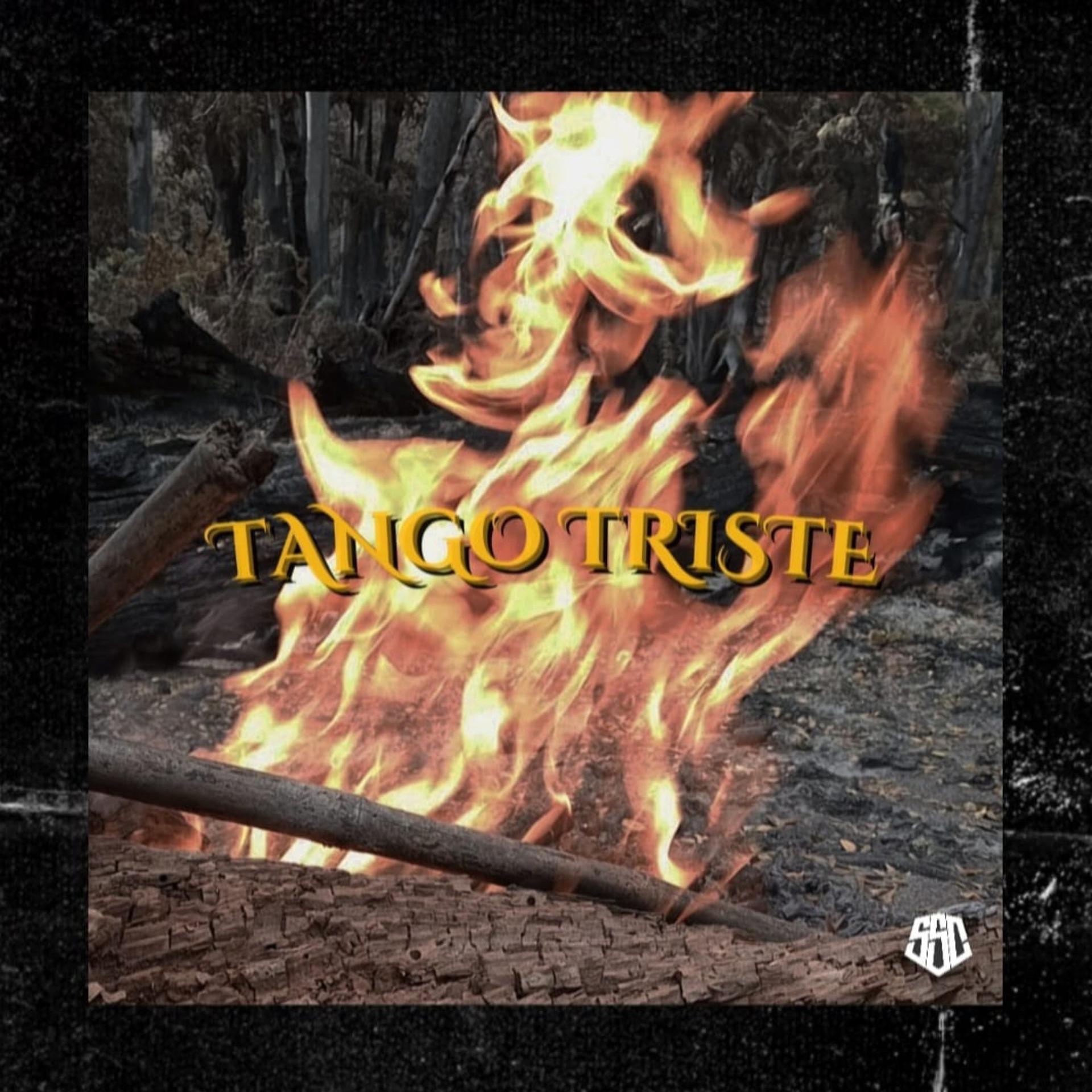 Постер альбома Tango Triste